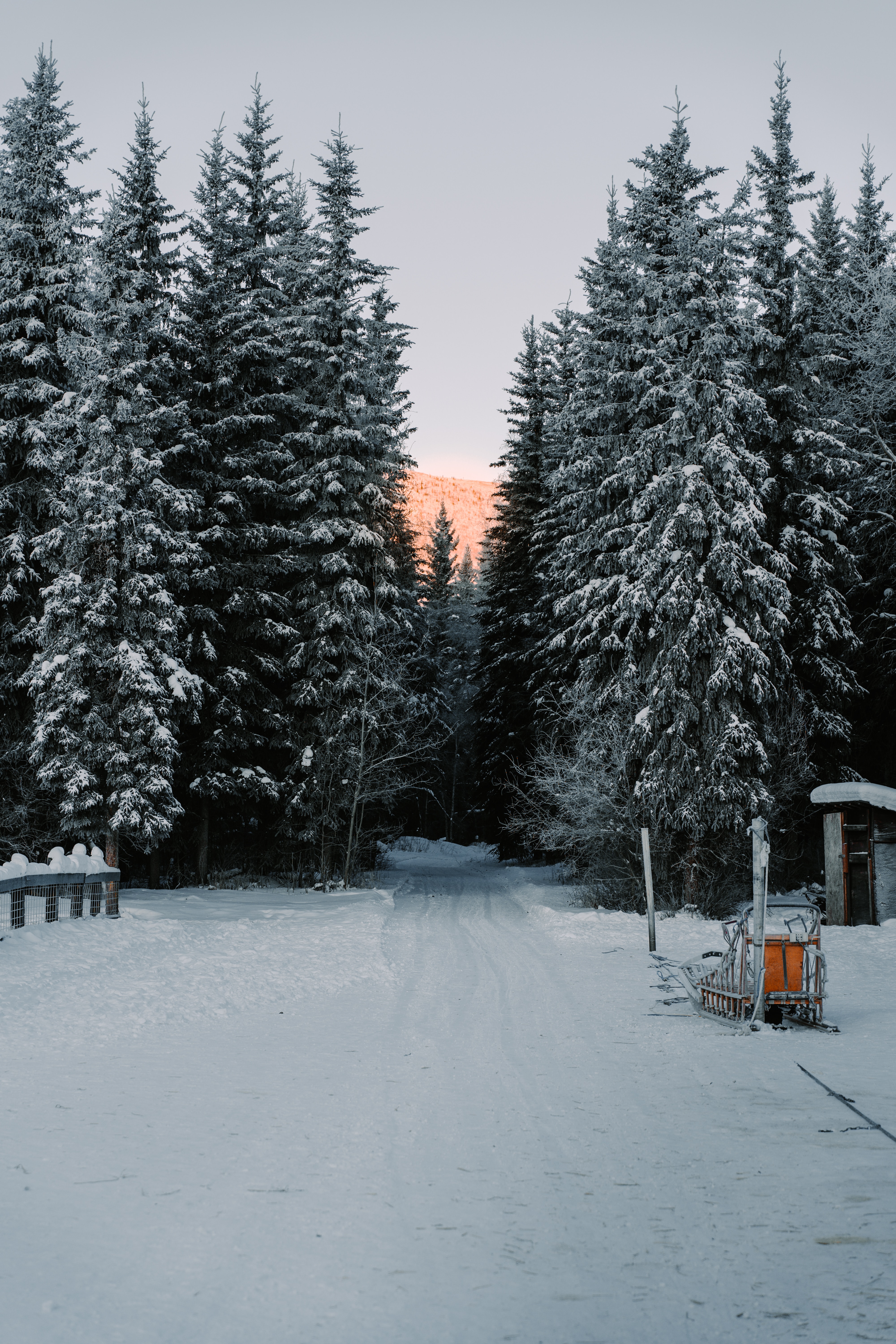 無料モバイル壁紙道, 自然, 木, 道路, 雪, 冬をダウンロードします。