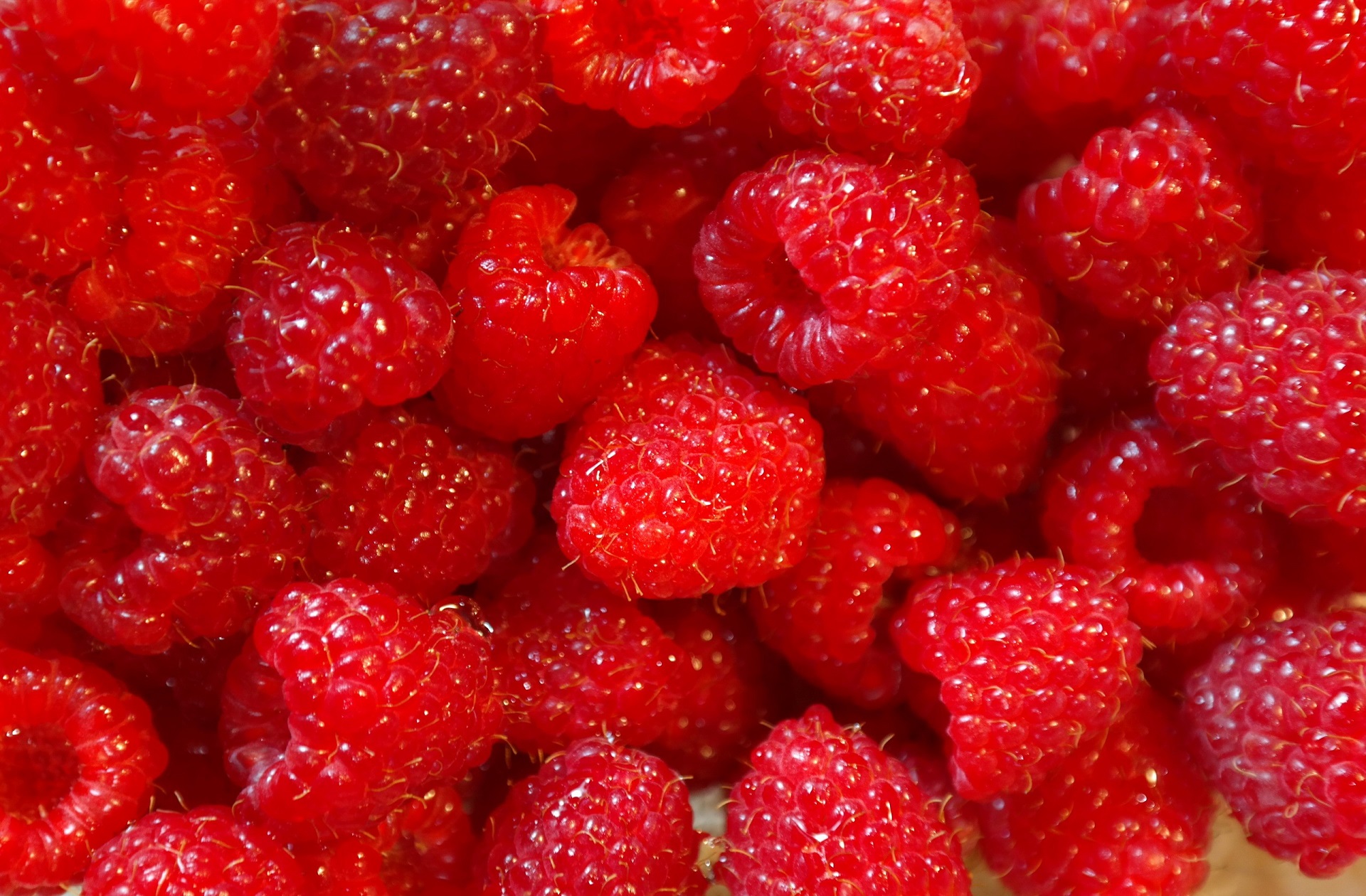 Download mobile wallpaper Fruits, Food, Raspberry, Fruit for free.