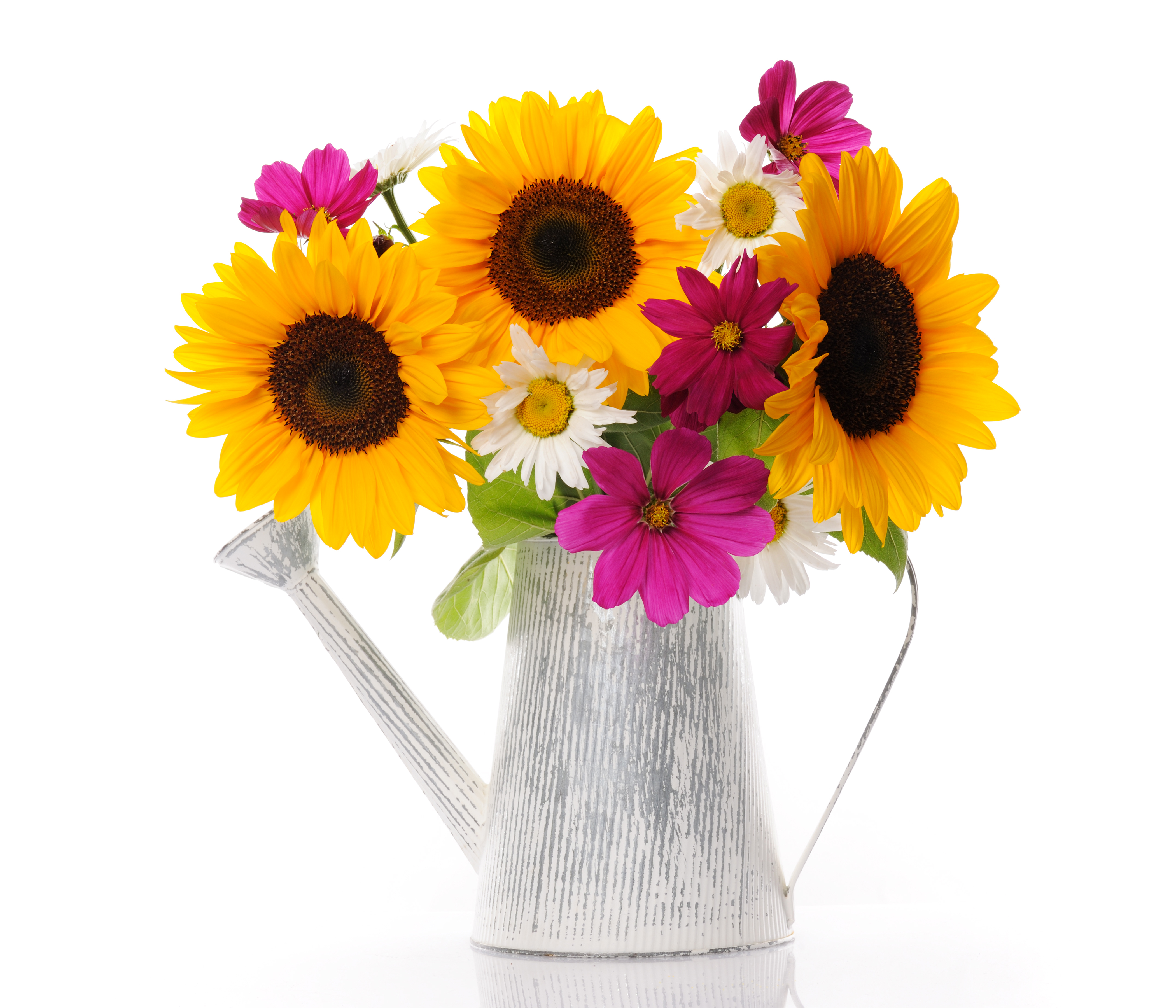 Handy-Wallpaper Blume, Vase, Sonnenblume, Gelbe Blume, Weiße Blume, Lila Blume, Menschengemacht, Kosmeen kostenlos herunterladen.