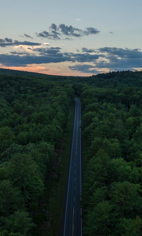 Download mobile wallpaper Nature, Road, Forest, Aerial, Man Made for free.