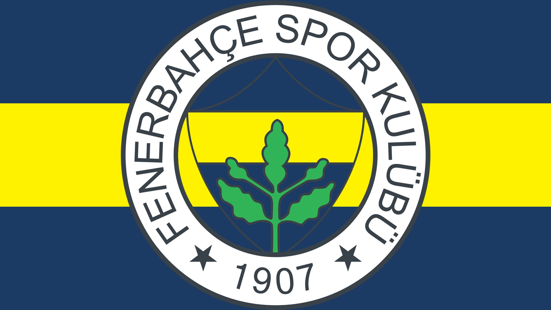 503993 Hintergrundbilder und Fenerbahçe Istanbul Bilder auf dem Desktop. Laden Sie  Bildschirmschoner kostenlos auf den PC herunter