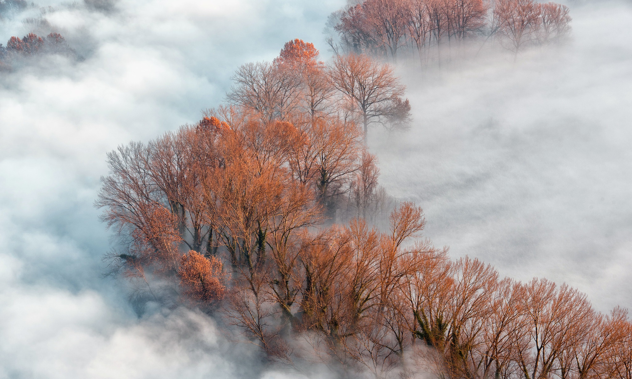 Скачать картинку Природа, Осень, Дерево, Туман, Антенна, Земля/природа в телефон бесплатно.