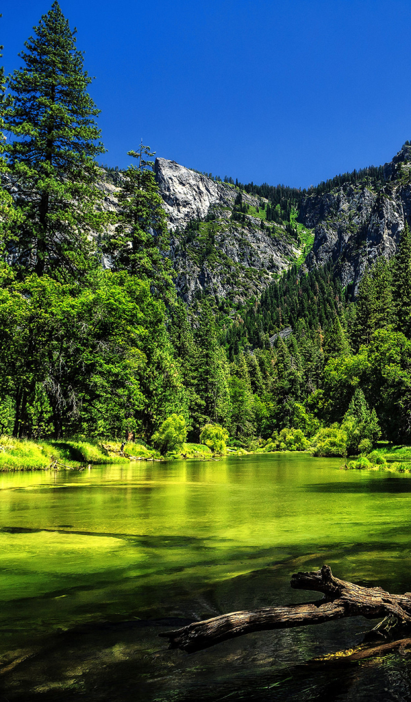 Скачать картинку Природа, Гора, Озеро, Лес, Зеленый, Национальный Парк, Калифорния, Йосемитский Национальный Парк, Земля/природа в телефон бесплатно.