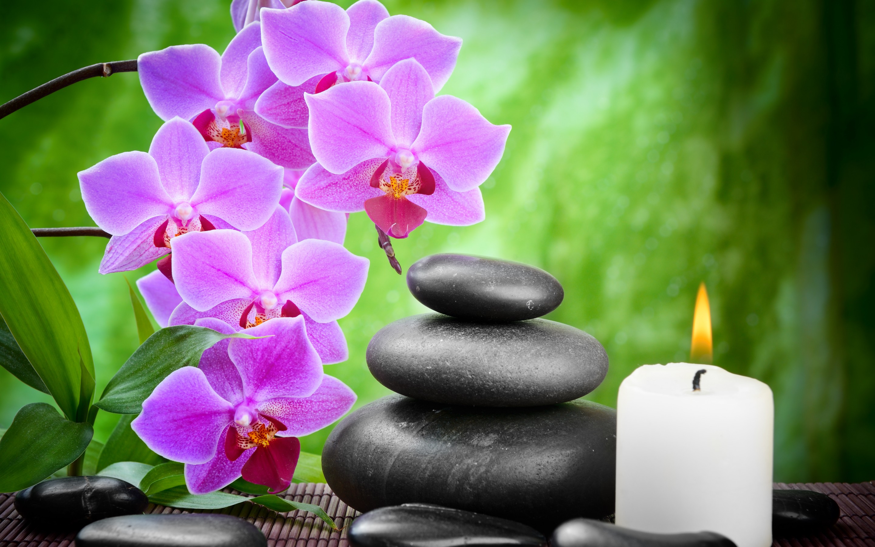 zen, light, flower, religious, candle, leaf, orchid