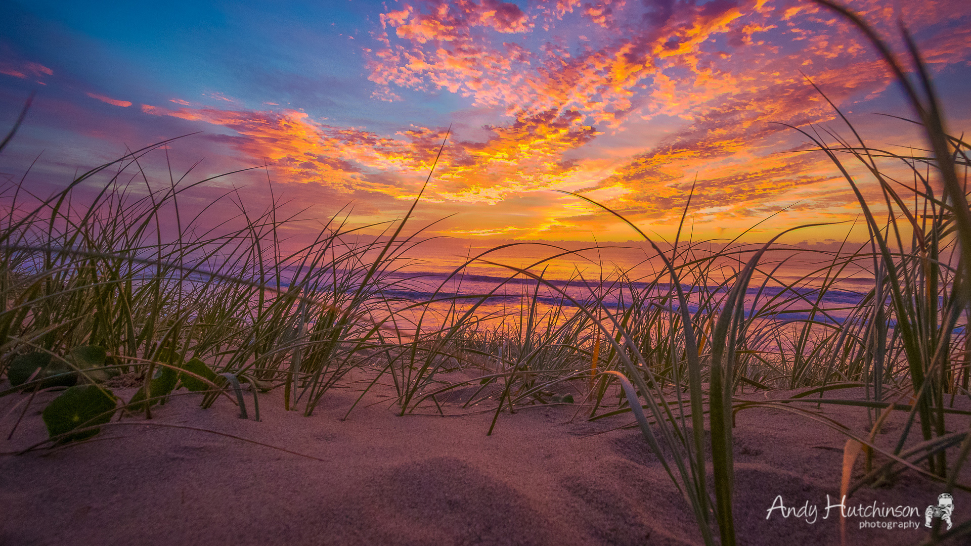 Free download wallpaper Sunset, Grass, Sea, Beach, Sand, Ocean, Earth on your PC desktop