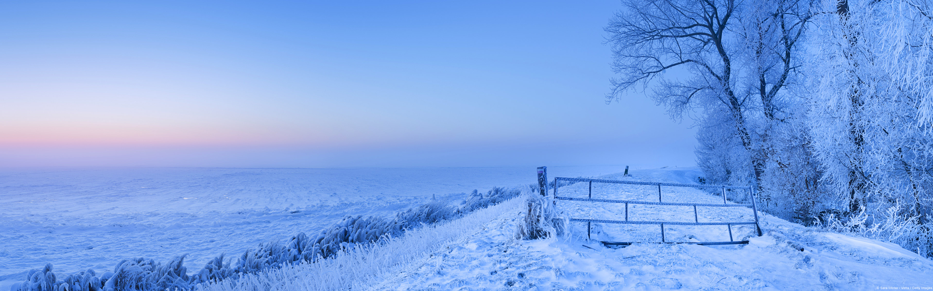 Download mobile wallpaper Winter, Snow, Horizon, Tree, Earth, Field for free.