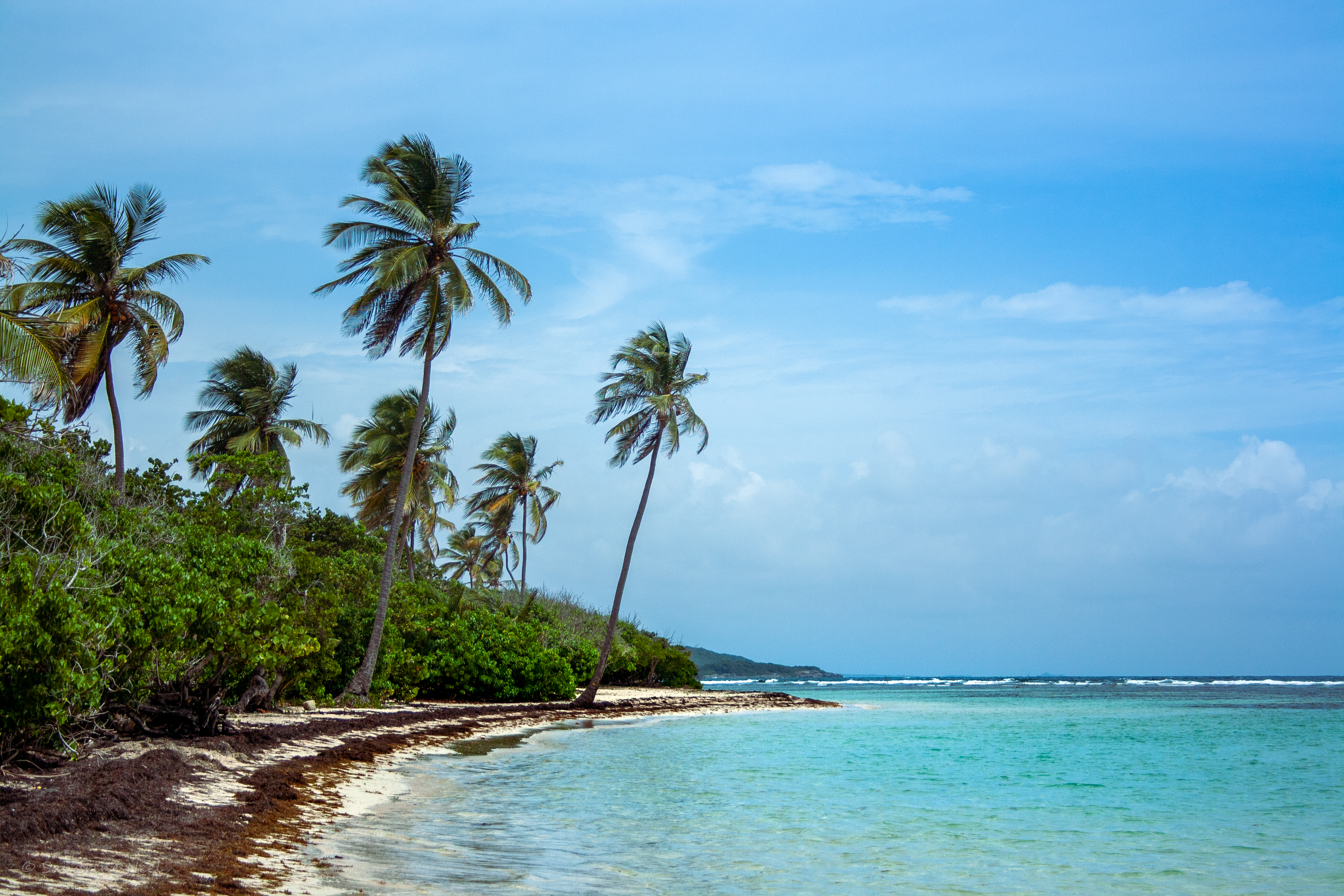 Free download wallpaper Nature, Sea, Summer, Palms, Tropics, Beach on your PC desktop