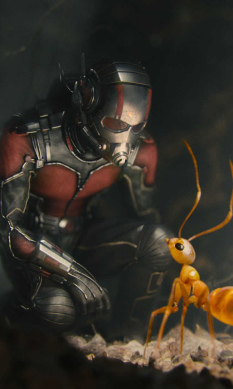 Handy-Wallpaper Filme, Ant Man kostenlos herunterladen.