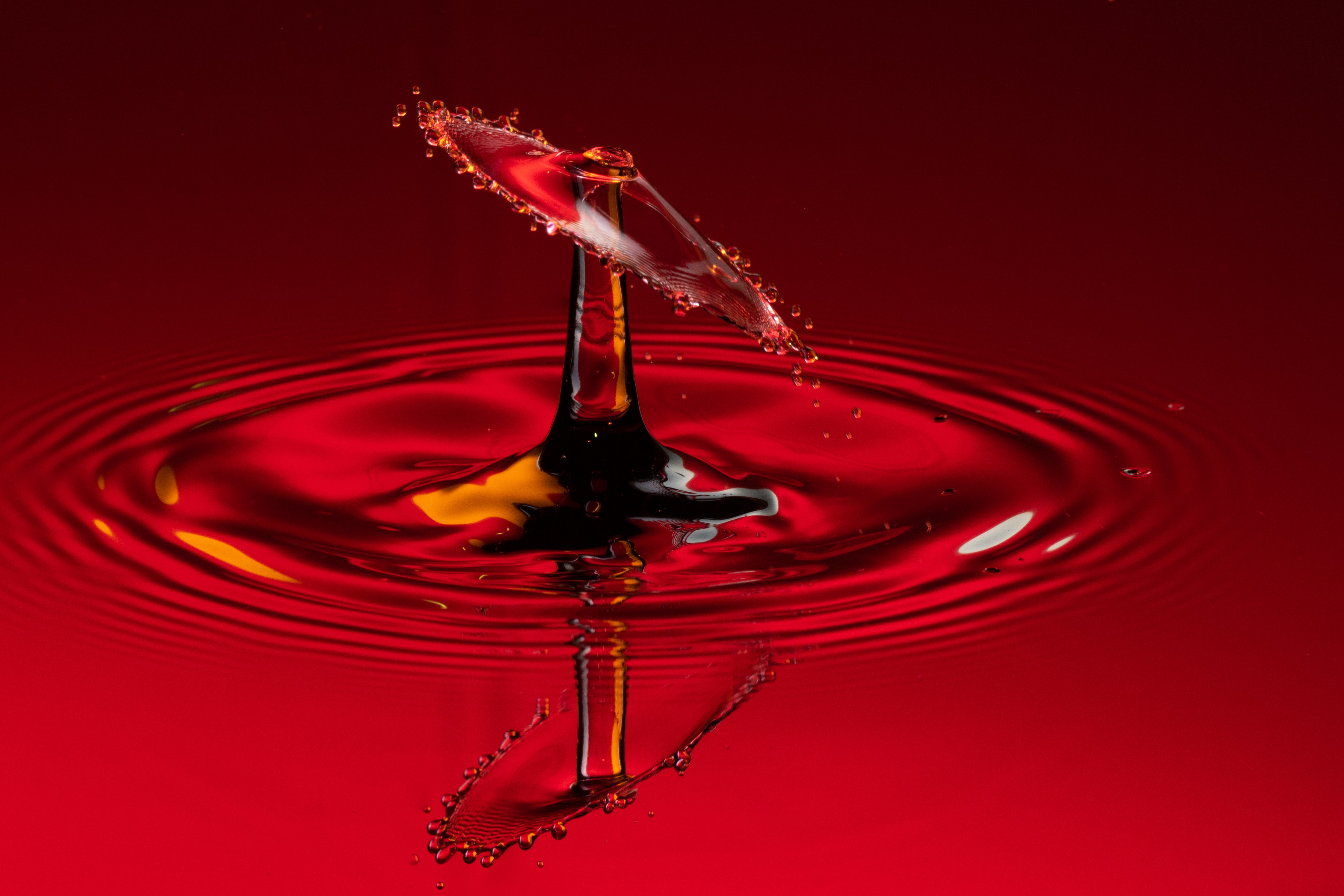splash, red, macro, liquid, drop phone background
