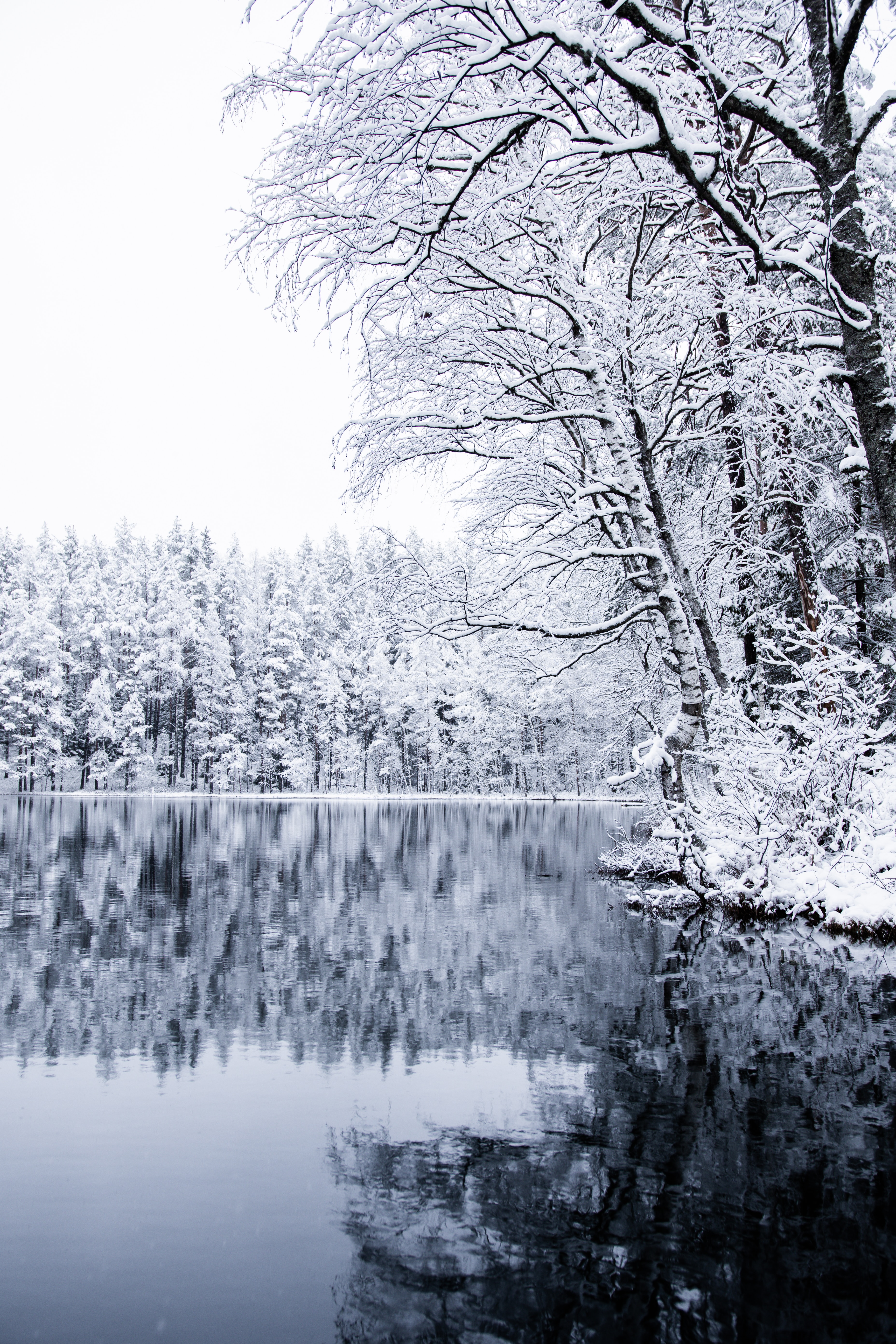 Descarga gratuita de fondo de pantalla para móvil de Naturaleza, Árboles, Nieve, Lago, Invierno, Paisaje.