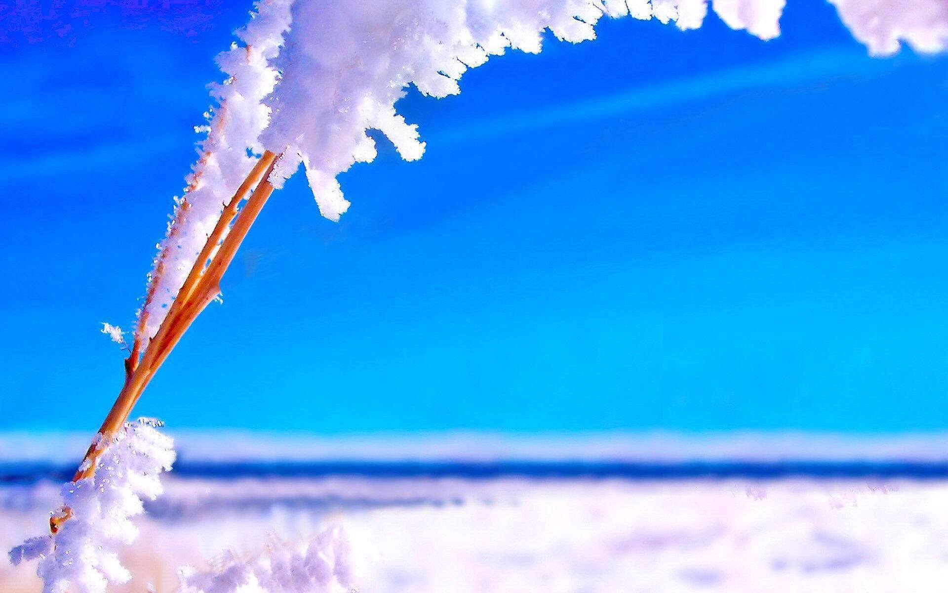 Скачать обои бесплатно Зима, Природа, Небо, Снег, Горизонт, Синий, Земля/природа картинка на рабочий стол ПК