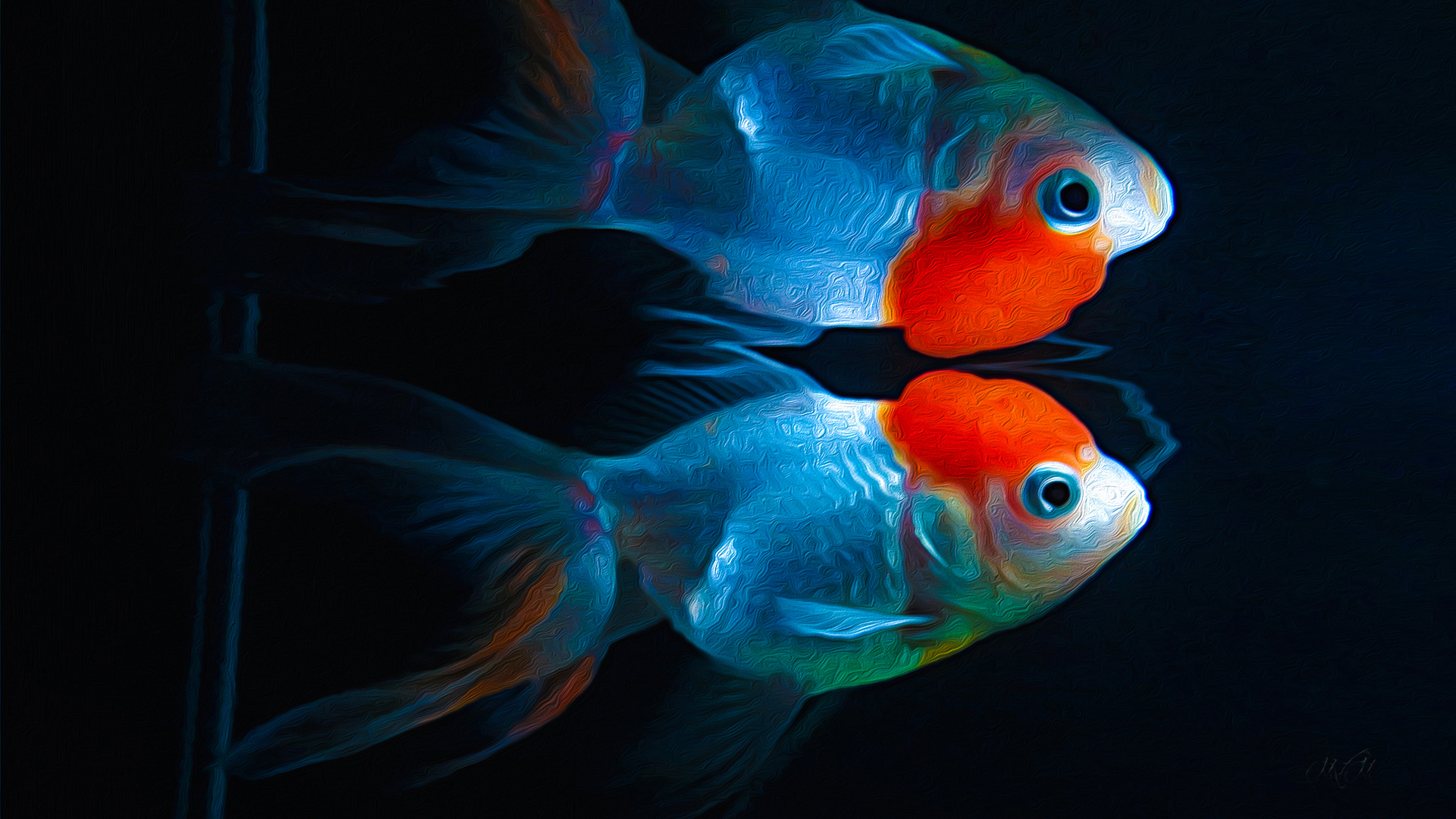 Free download wallpaper Animal, Fish, Goldfish, Kinguio on your PC desktop