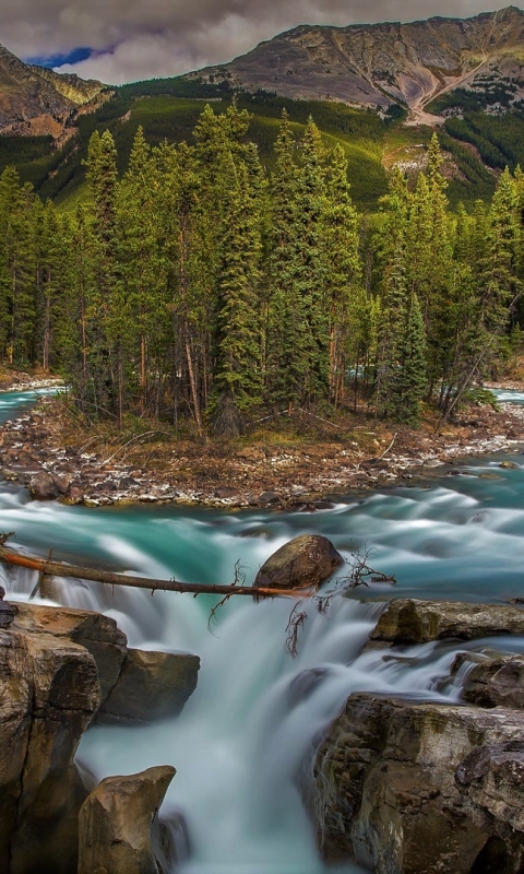 Download mobile wallpaper Waterfalls, Mountain, Canada, Waterfall, Forest, Earth, River, Jasper National Park, Sunwapta Falls for free.