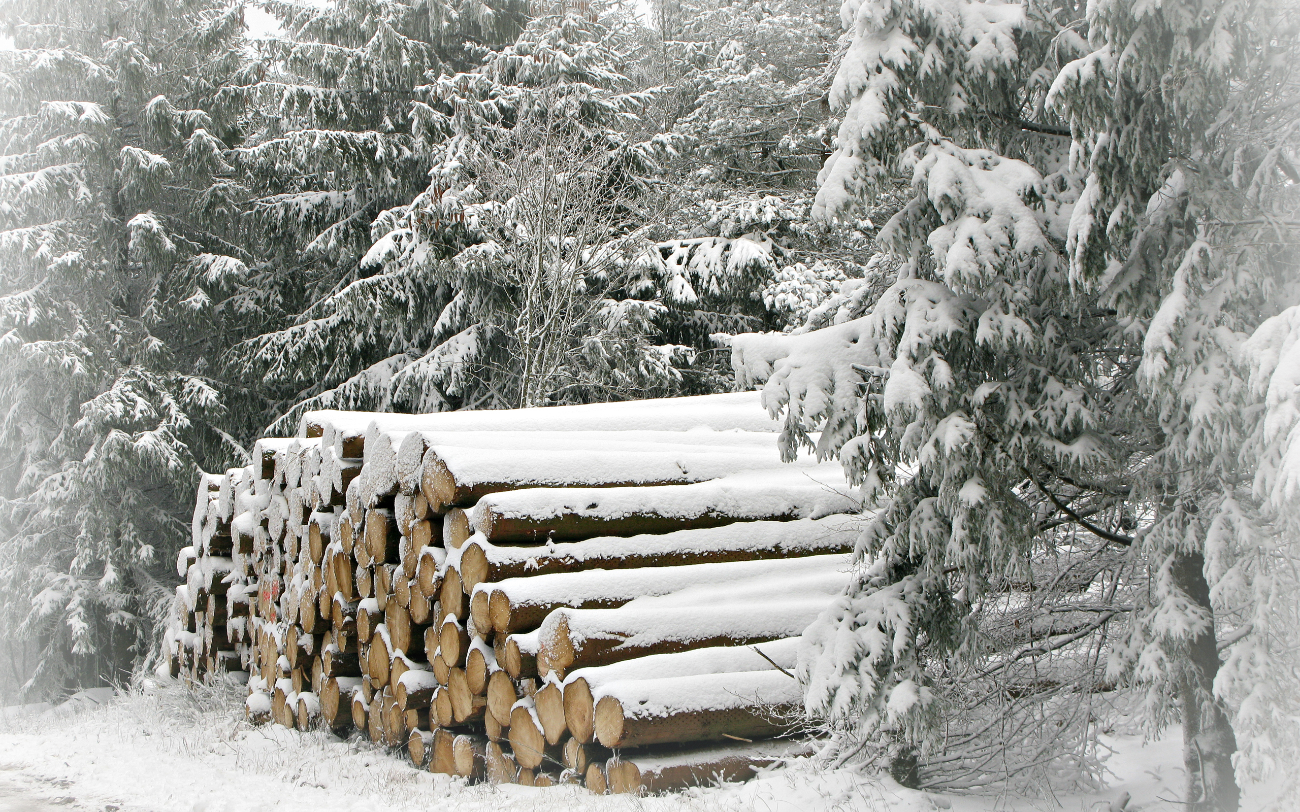 Baixar papel de parede para celular de Inverno, Terra/natureza gratuito.