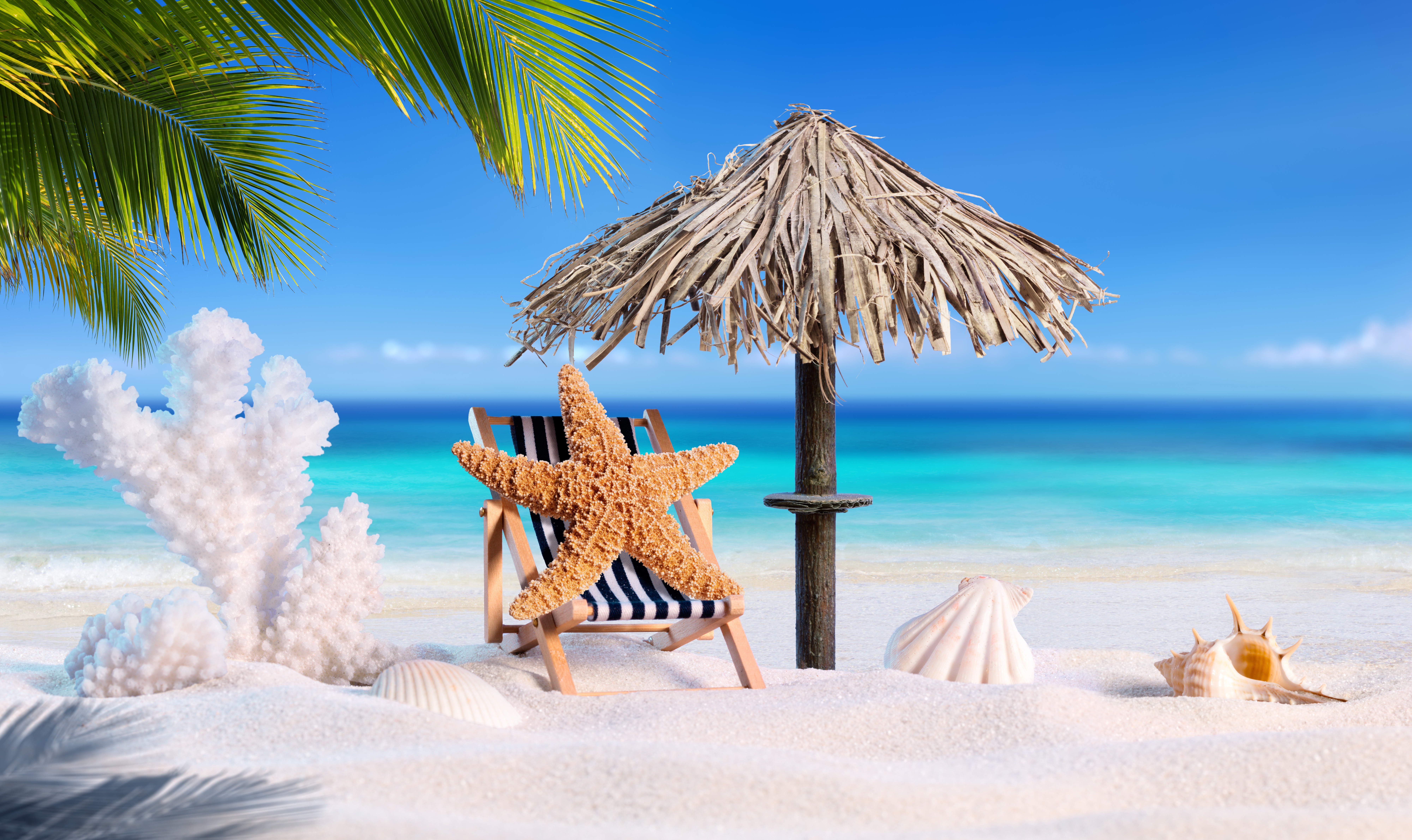 Free download wallpaper Beach, Sand, Summer, Starfish, Artistic, Tropical, Shell on your PC desktop