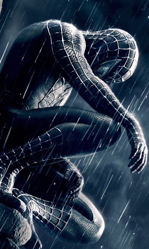 Download mobile wallpaper Rain, Spider Man, Movie, Spider Man 3 for free.
