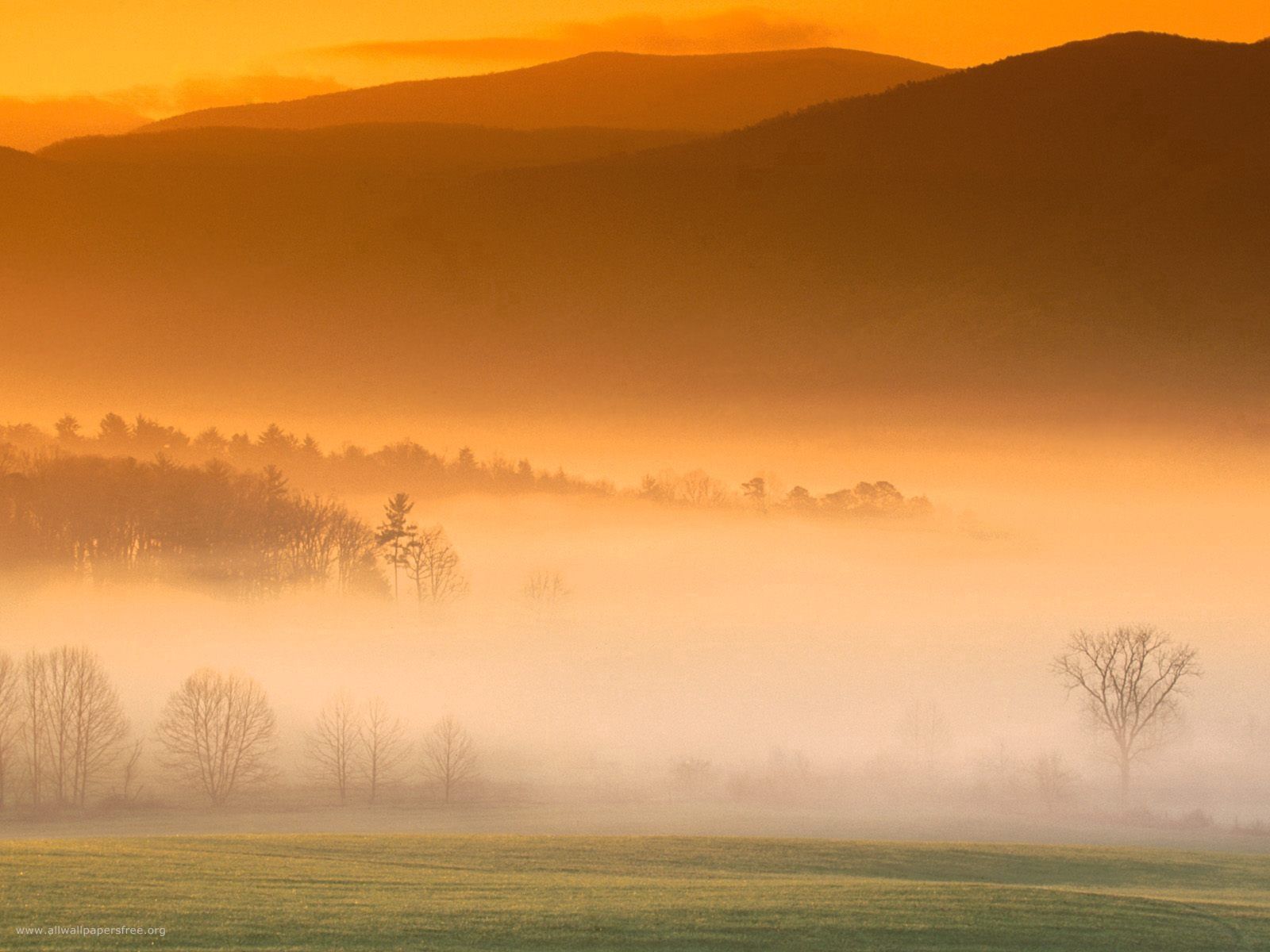 Laden Sie das Mountains, Nebel, Feld, Natur-Bild kostenlos auf Ihren PC-Desktop herunter