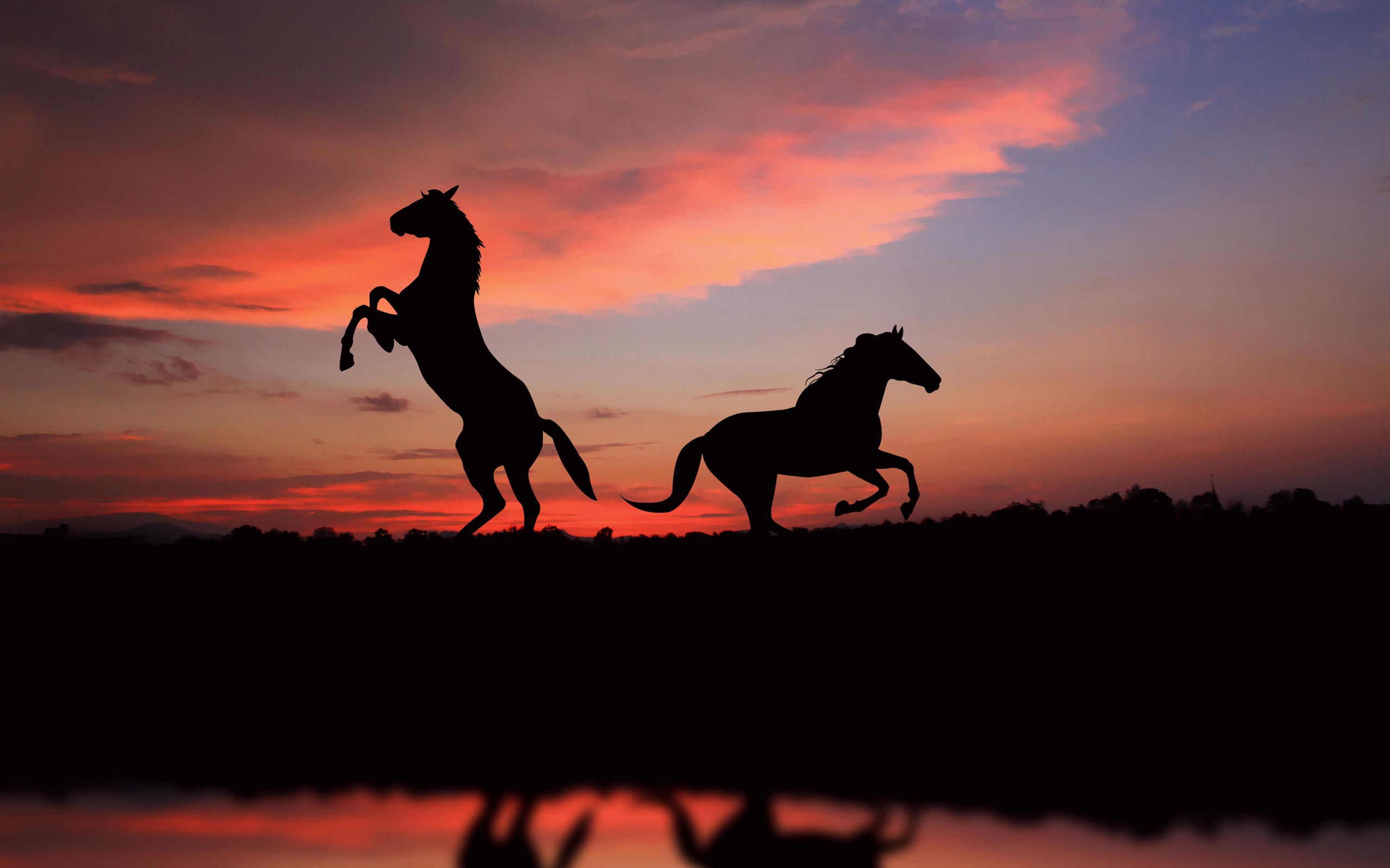 Free download wallpaper Sunset, Silhouette, Animal, Horse on your PC desktop
