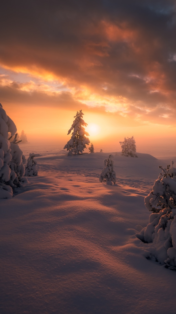 Download mobile wallpaper Winter, Nature, Snow, Tree, Sunrise, Earth, Cloud for free.