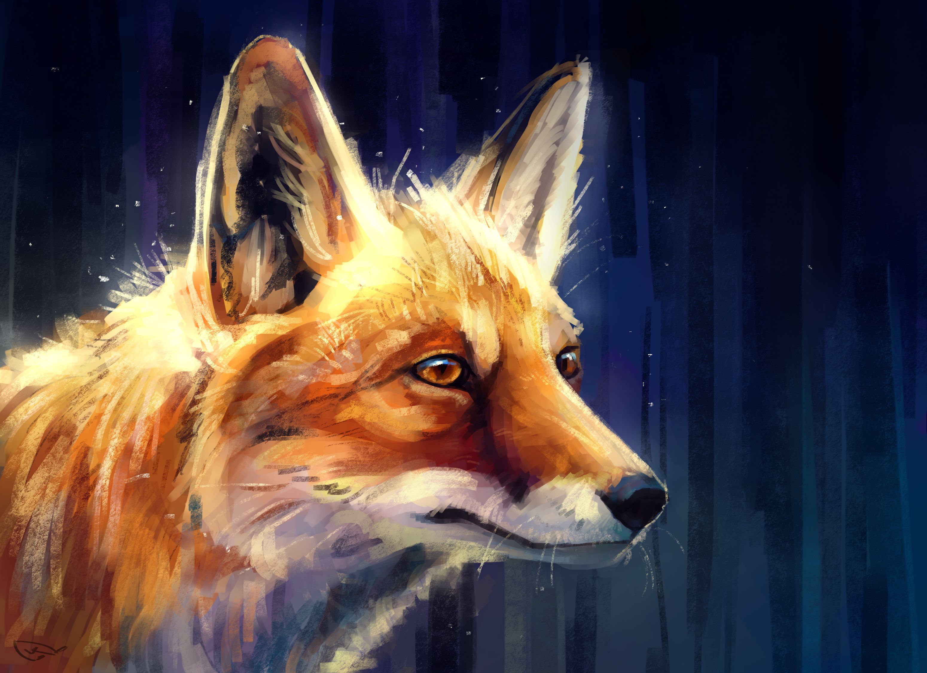 fox, animal