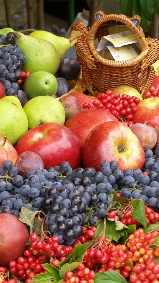 Descarga gratuita de fondo de pantalla para móvil de Frutas, Manzana, Uvas, Fruta, Alimento, Uva.