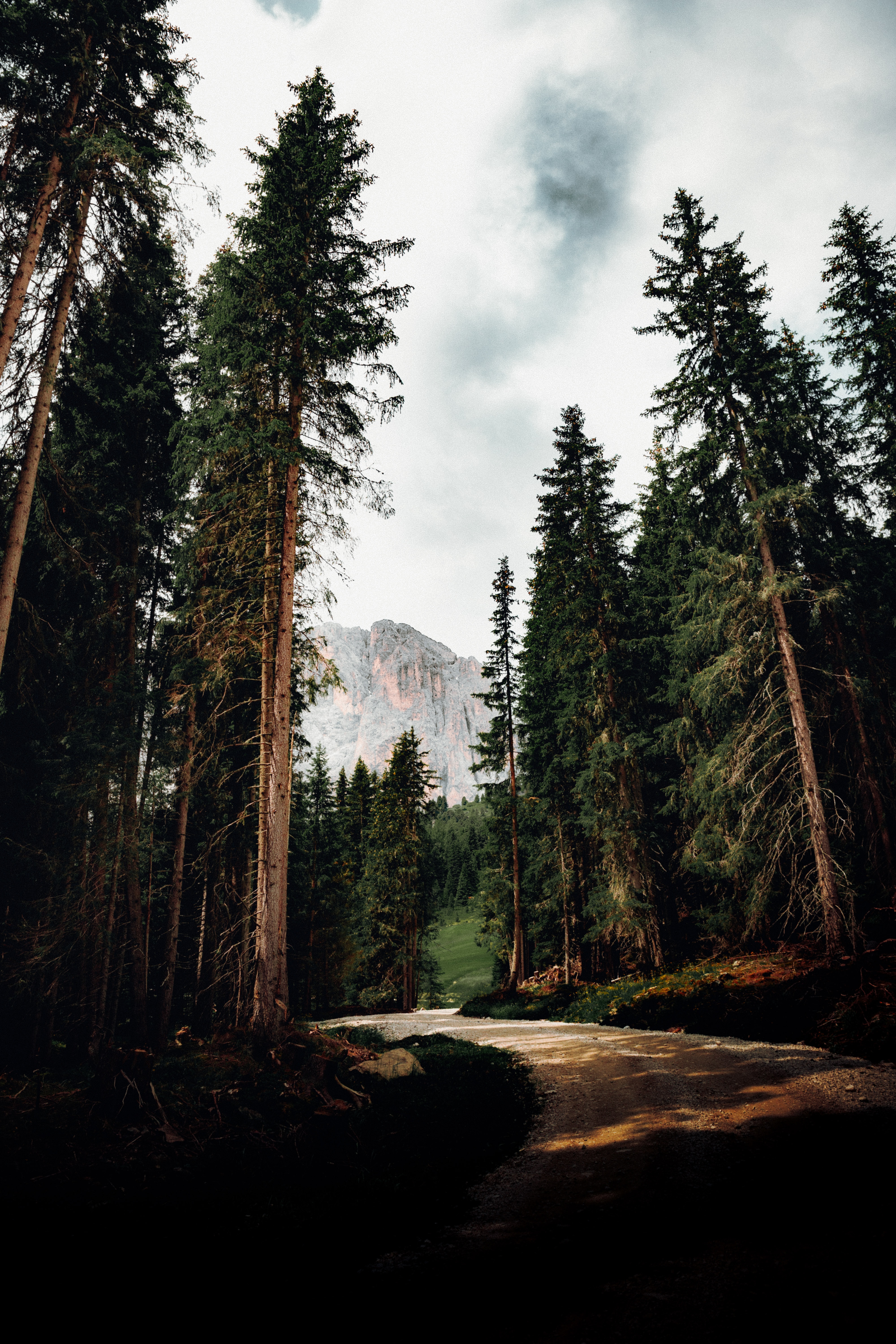 nature, top, trees, mountain, vertex, road cellphone