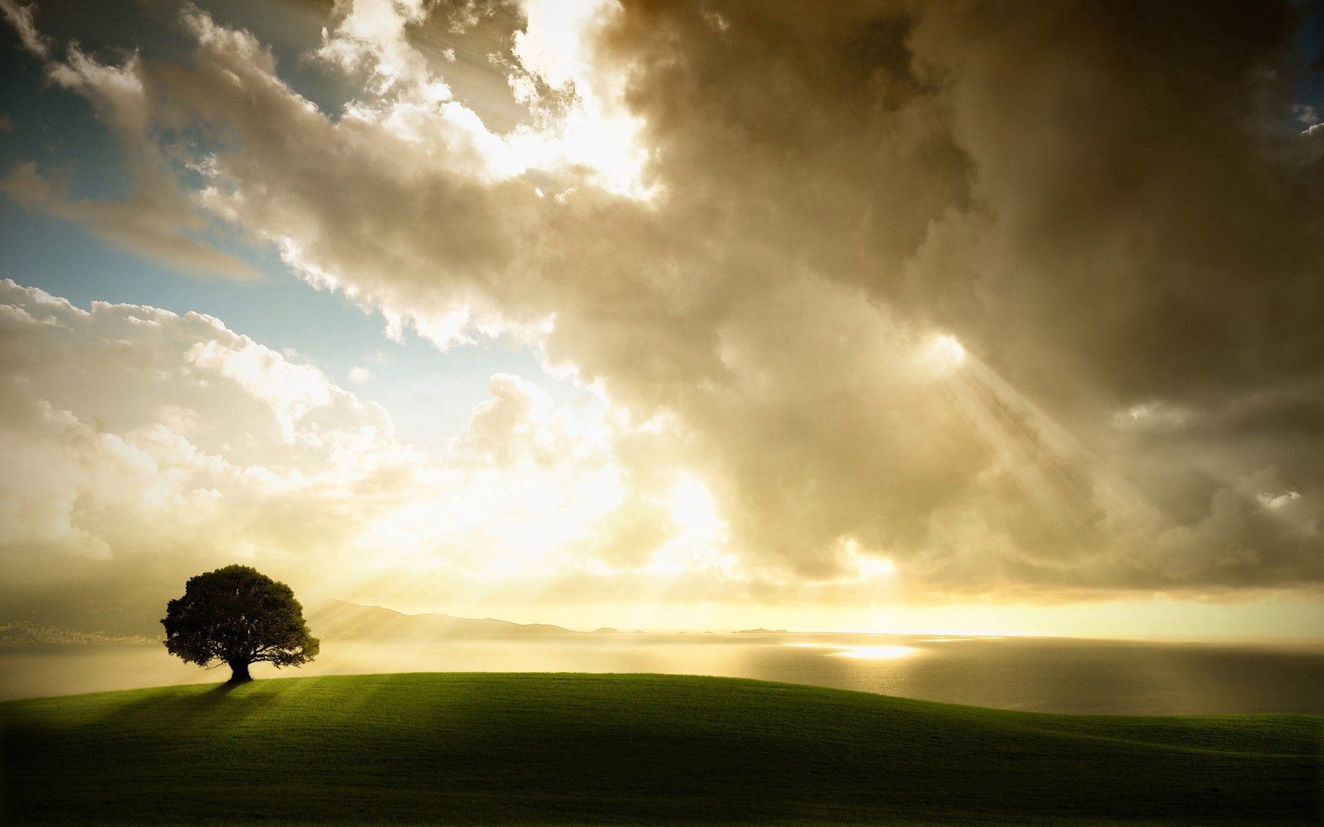 72683 скачать картинку природа, трава, небо, облака, свет, дерево, одинокое, луг - обои и заставки бесплатно