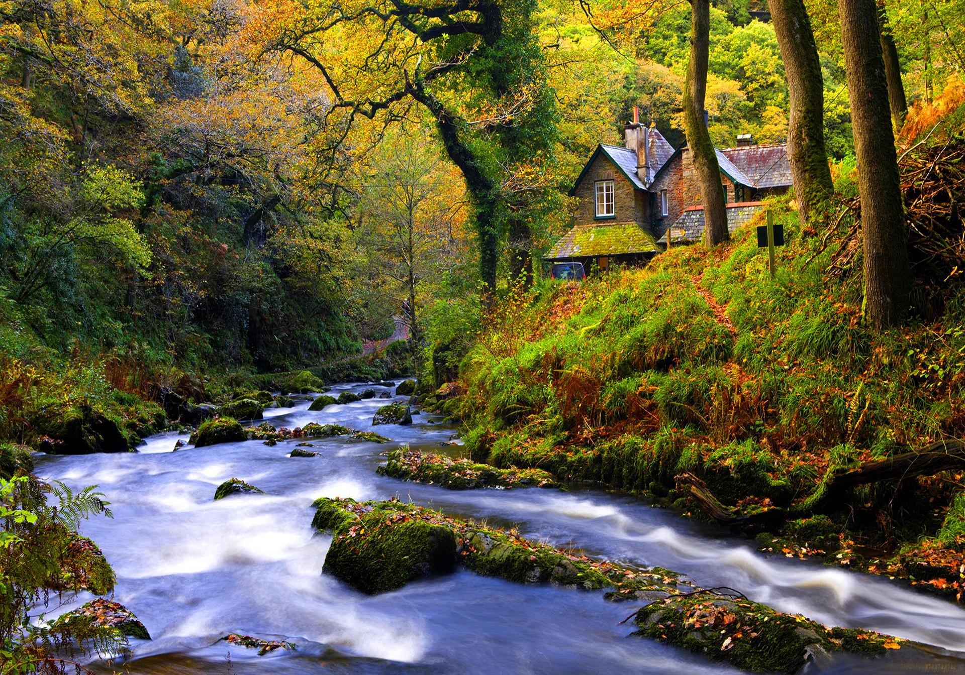 Download mobile wallpaper Forest, Tree, Fall, House, Stream, Cottage, Man Made for free.