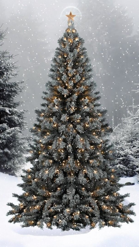 Download mobile wallpaper Winter, Christmas, Holiday, Christmas Tree for free.