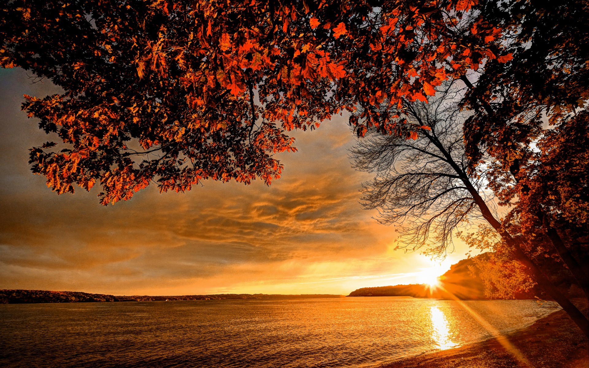 Скачать картинку Закат, Осень, Озера, Озеро, Дерево, Земля/природа в телефон бесплатно.