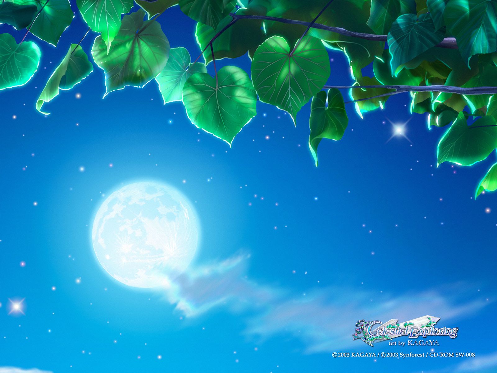 Download mobile wallpaper Sky, Moon, Starry Sky, Leaf, Artistic, Star for free.