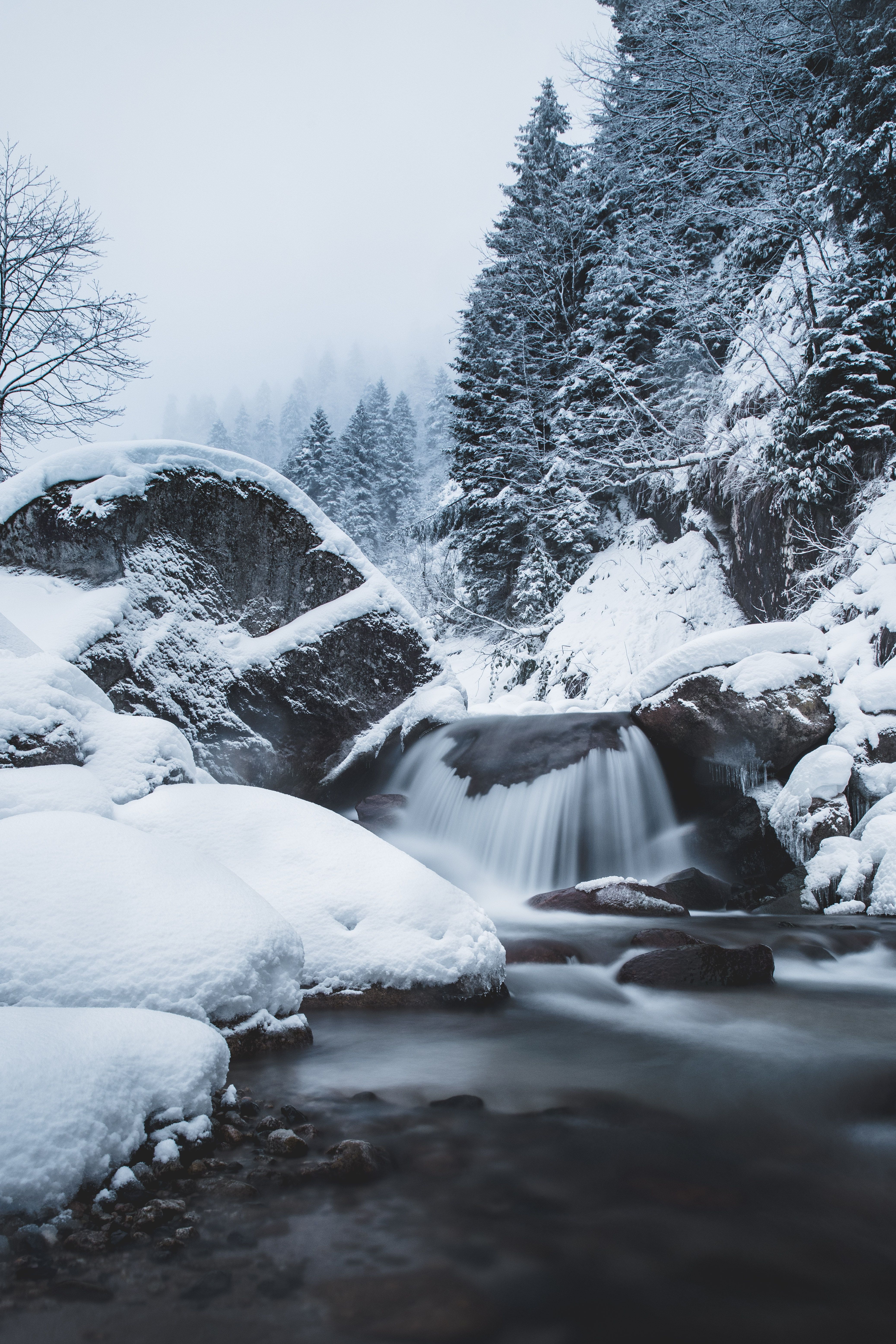 無料モバイル壁紙自然, 木, 滝, 雪, フロー, 流れる, 冬をダウンロードします。