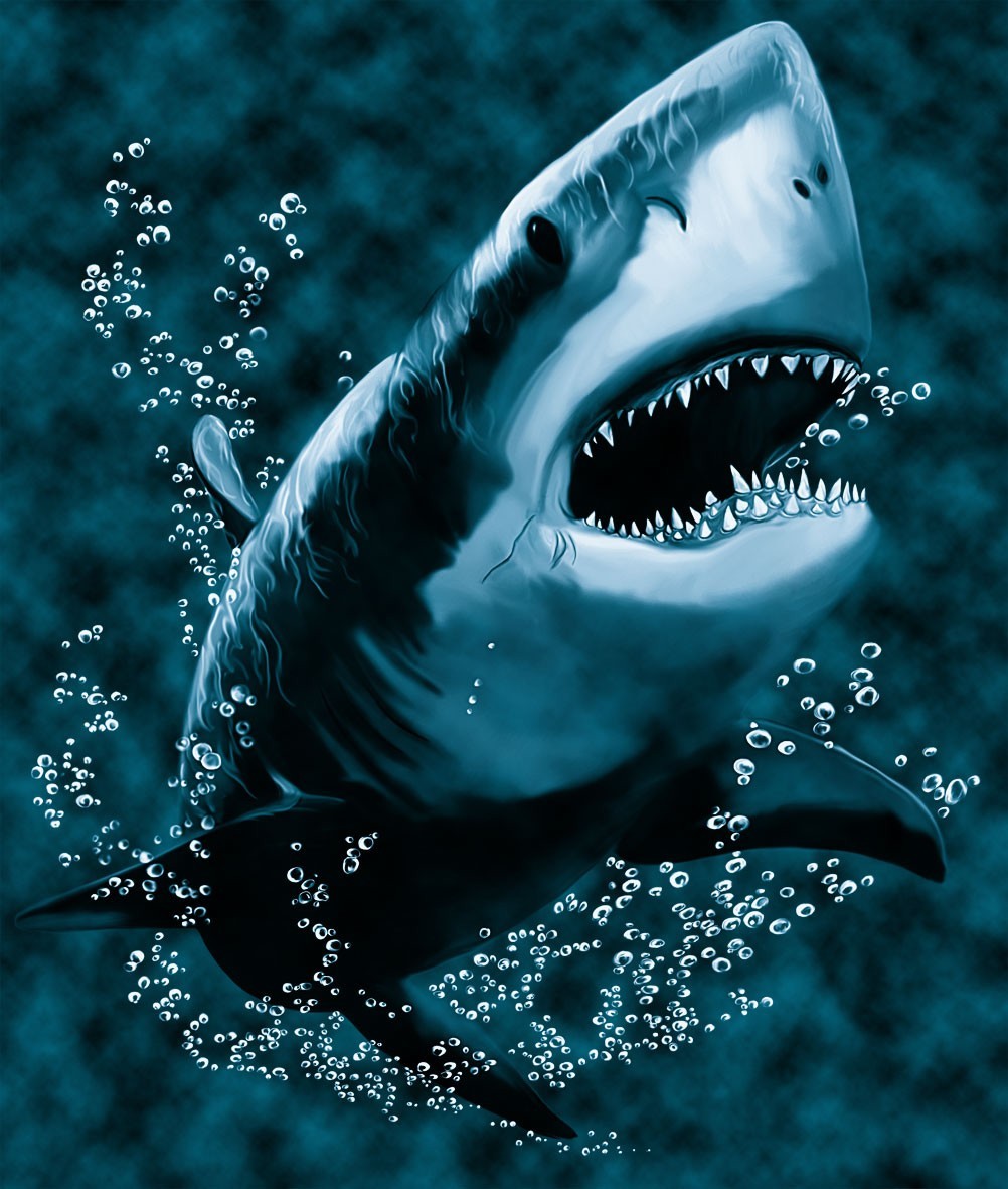 Descarga gratuita de fondo de pantalla para móvil de Tiburones, Animales, Mar, Peces, Imágenes.