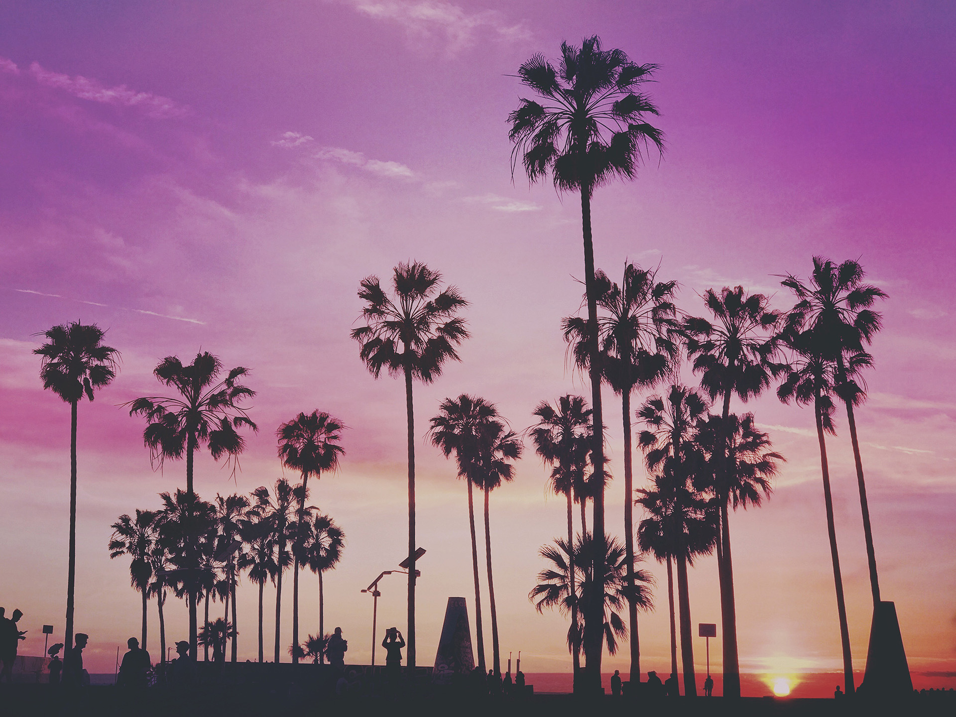 Скачать картинку Пляж, Пальмы, Горизонт, Калифорния, Фотографии, Пурпурный, Закат Солнца в телефон бесплатно.