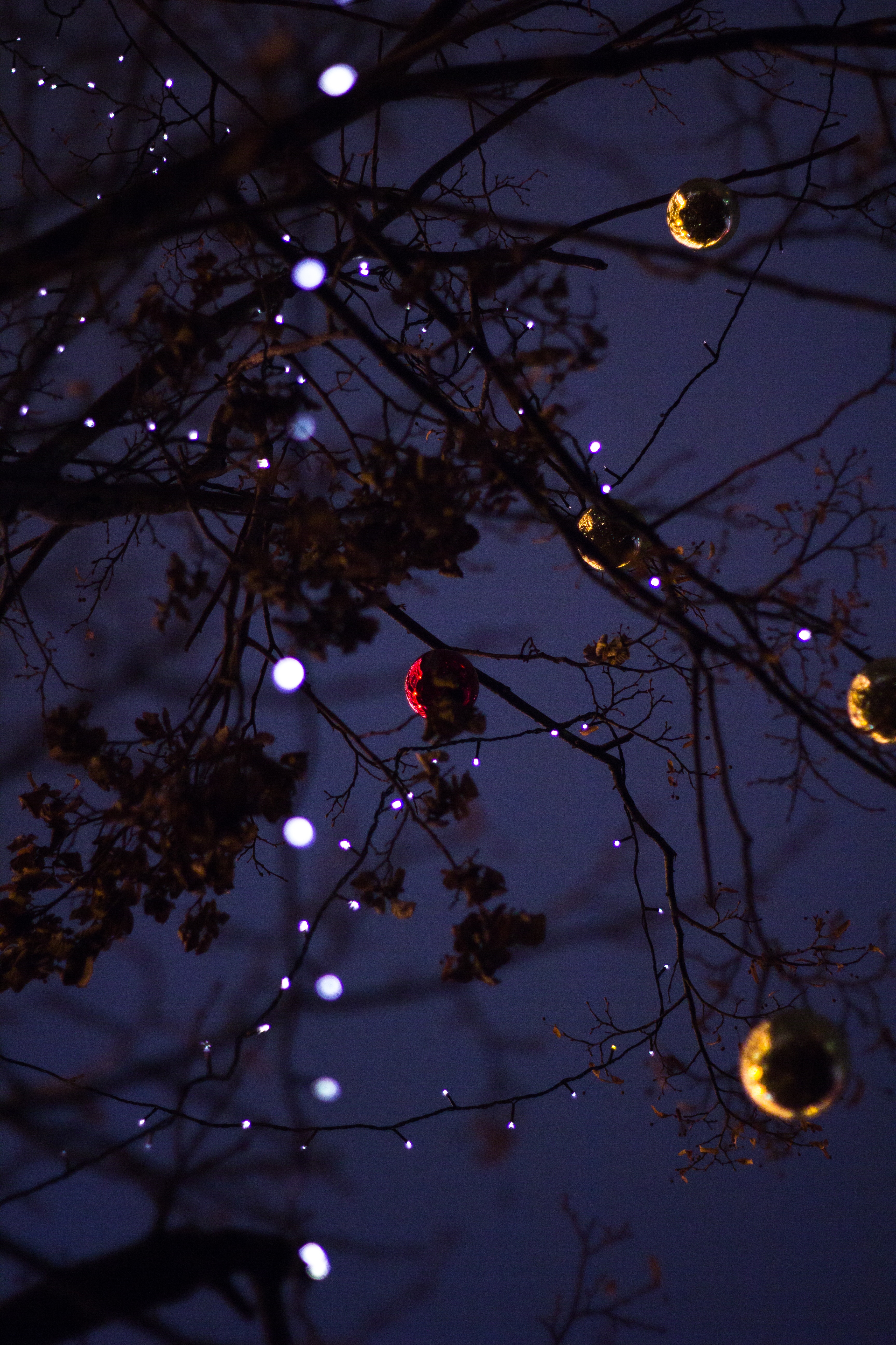 141310 descargar fondo de pantalla navidad, ramas, año nuevo, vacaciones, brillar, luz, madera, árbol, sucursales, decoraciones de navidad, juguetes de árbol de navidad, guirnalda: protectores de pantalla e imágenes gratis