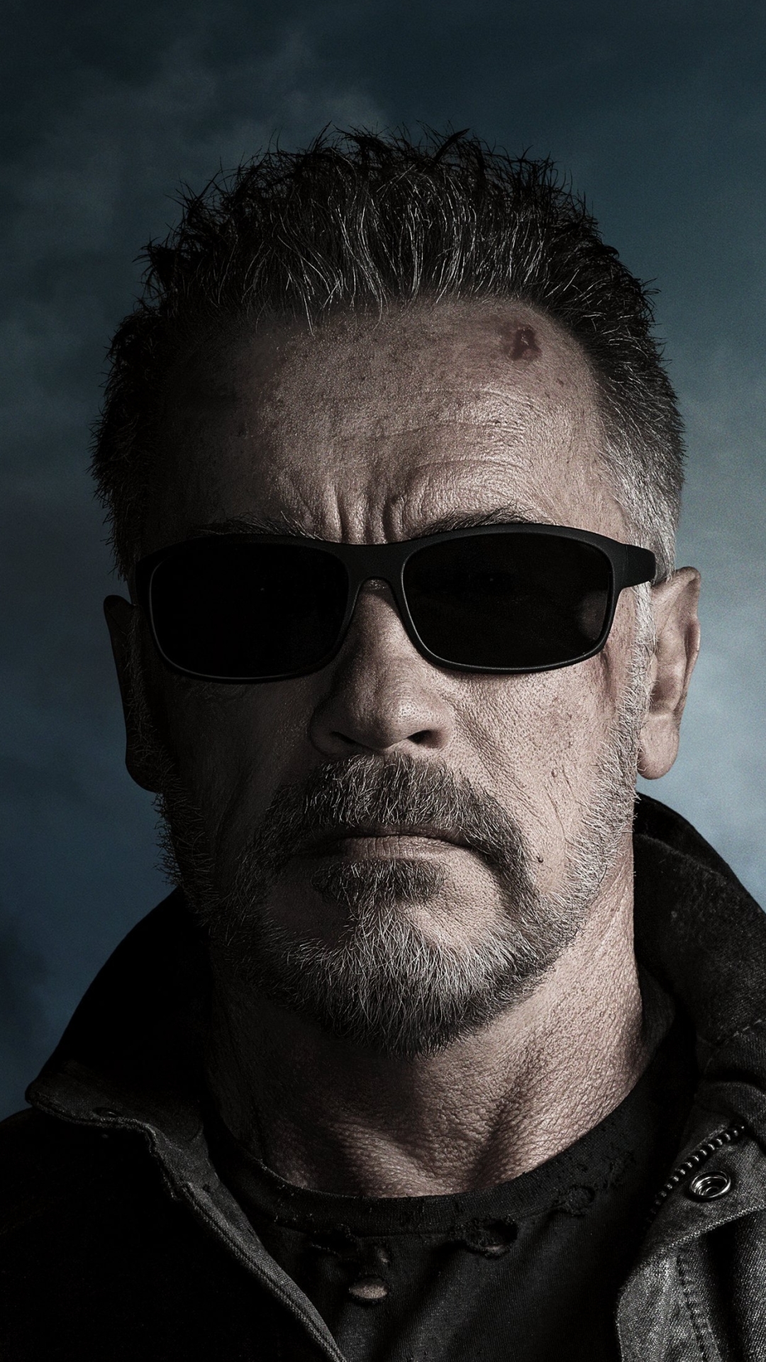 Handy-Wallpaper Arnold Schwarzenegger, Terminator, Filme, Terminator: Dark Fate kostenlos herunterladen.