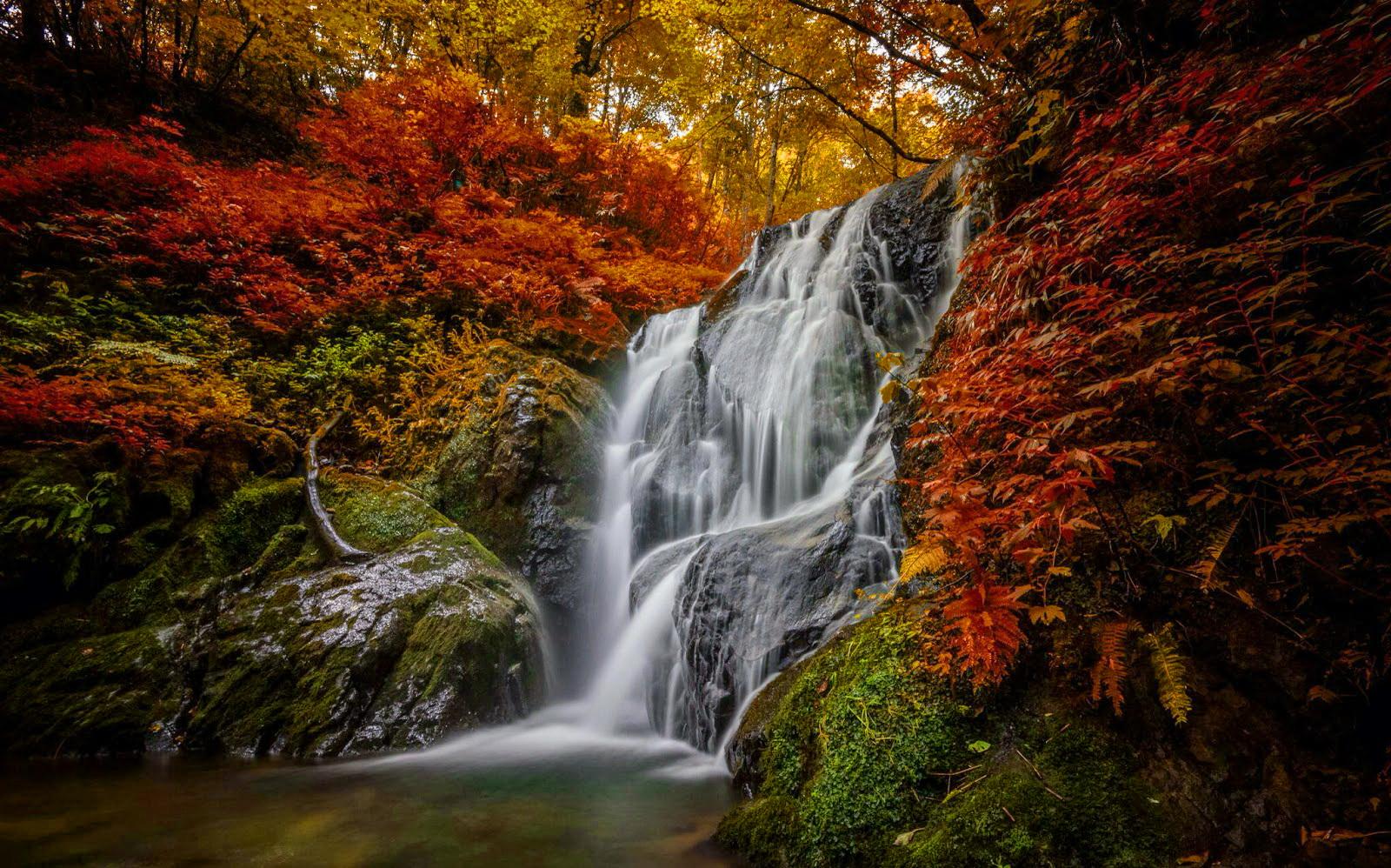 Free download wallpaper Nature, Waterfalls, Waterfall, Forest, Tree, Fall, Earth on your PC desktop