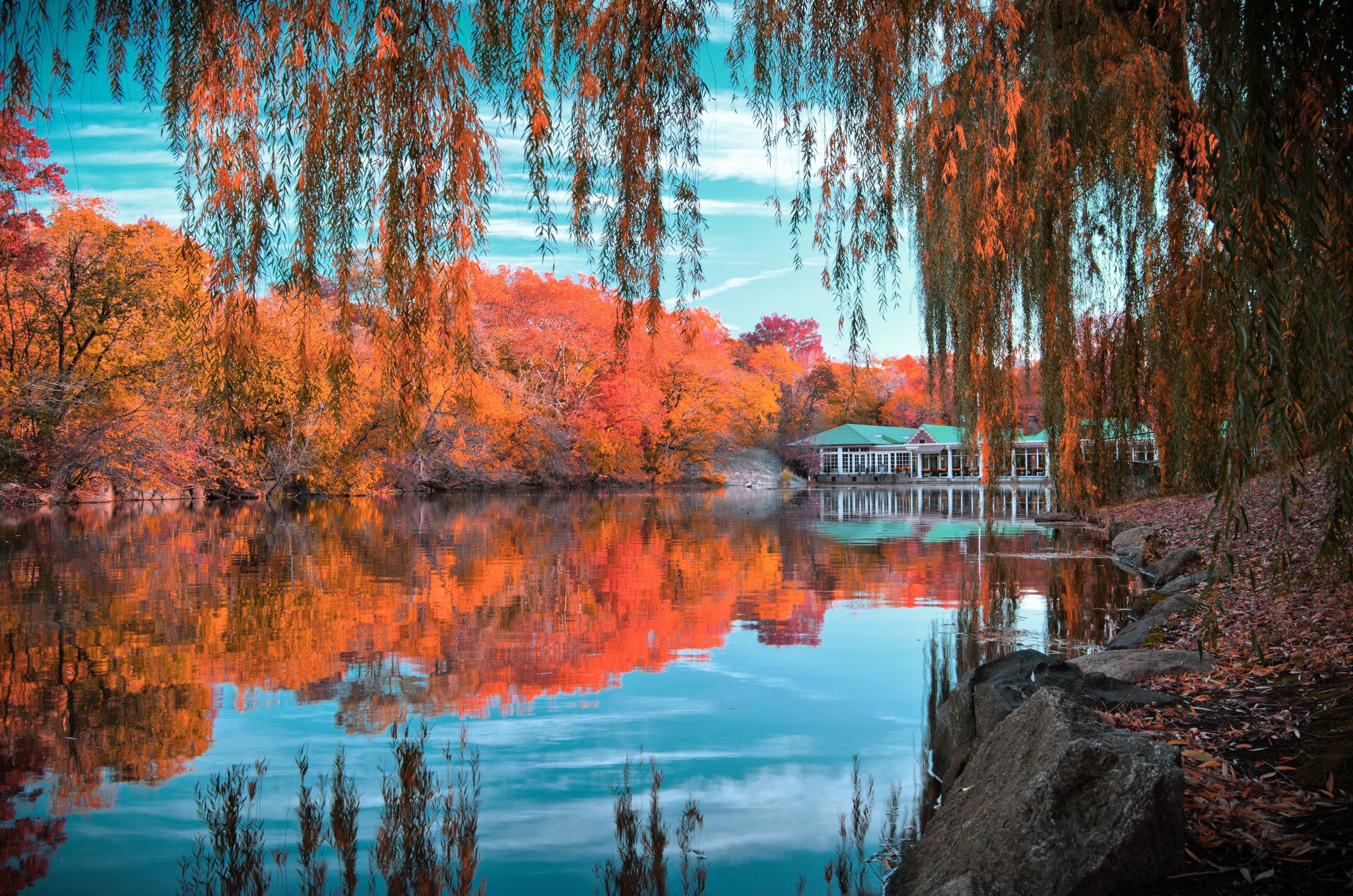 87901 descargar imagen otoño, naturaleza, nueva york, precioso paisaje, hermoso paisaje, parque central: fondos de pantalla y protectores de pantalla gratis