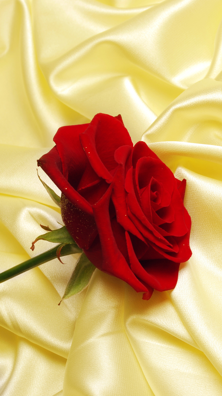 1131233壁紙のダウンロード地球, 薔薇, 赤い花, シルク, 花, 赤いバラ, バレンタイン・デー, パステル, サテン, 愛する, フラワーズ-スクリーンセーバーと写真を無料で