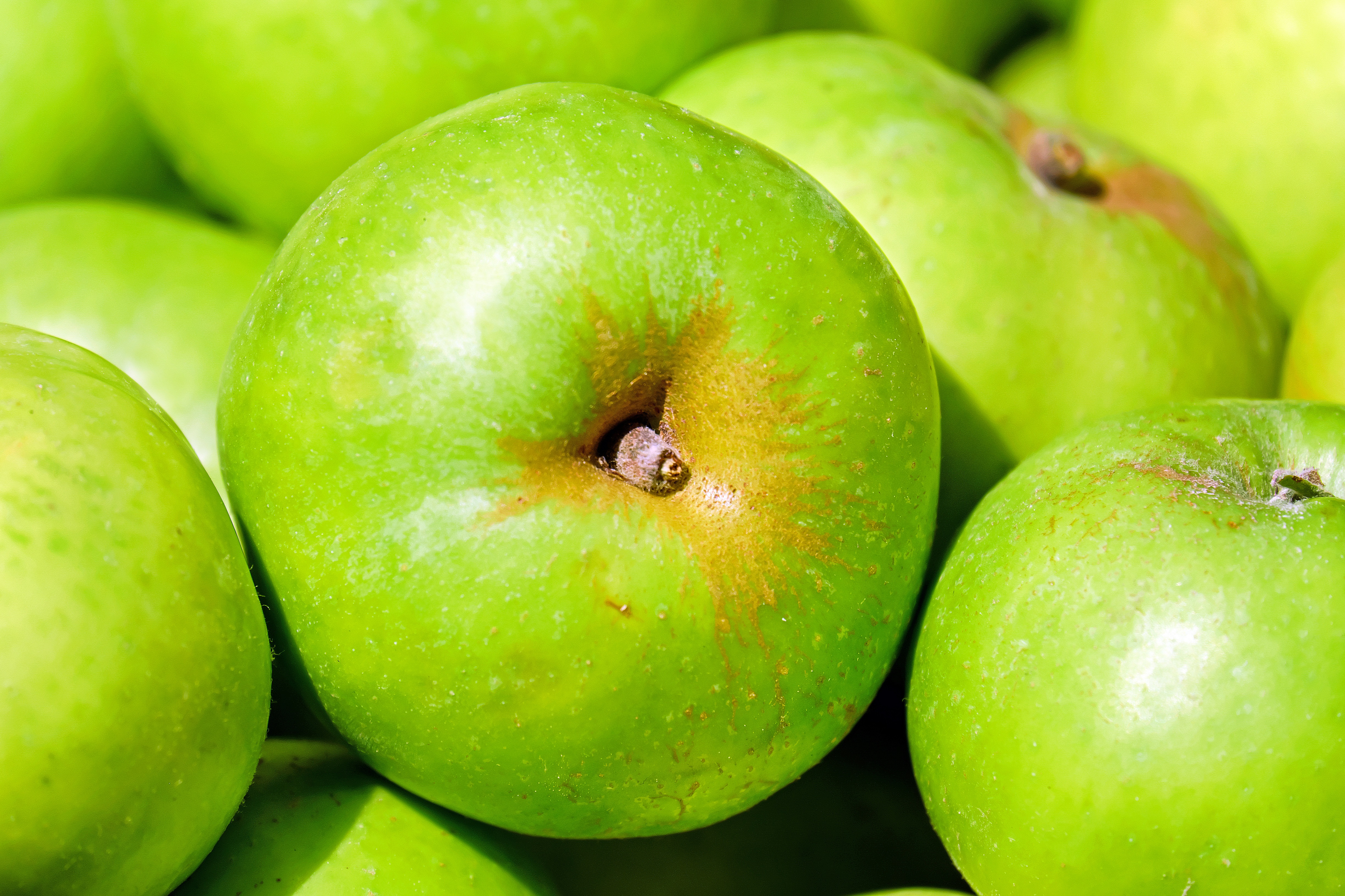 fruits, food, apples, green Desktop home screen Wallpaper