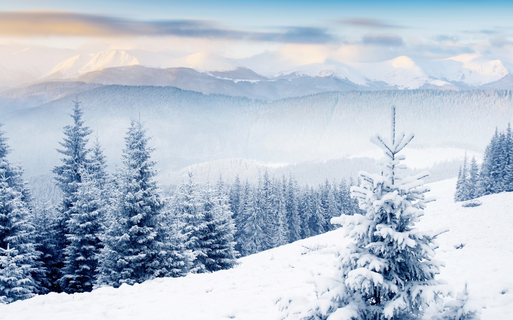 Téléchargez gratuitement l'image Hiver, Terre/nature sur le bureau de votre PC