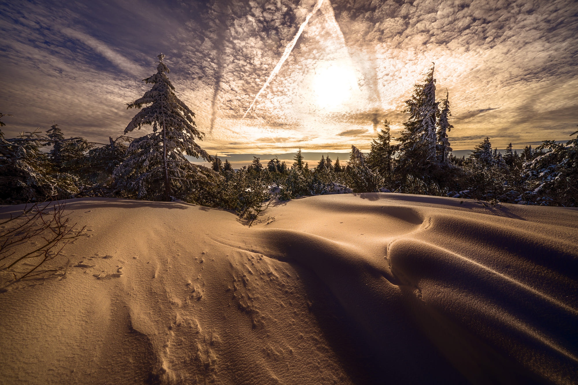 Laden Sie das Winter, Natur, Schnee, Fichte, Erde/natur-Bild kostenlos auf Ihren PC-Desktop herunter