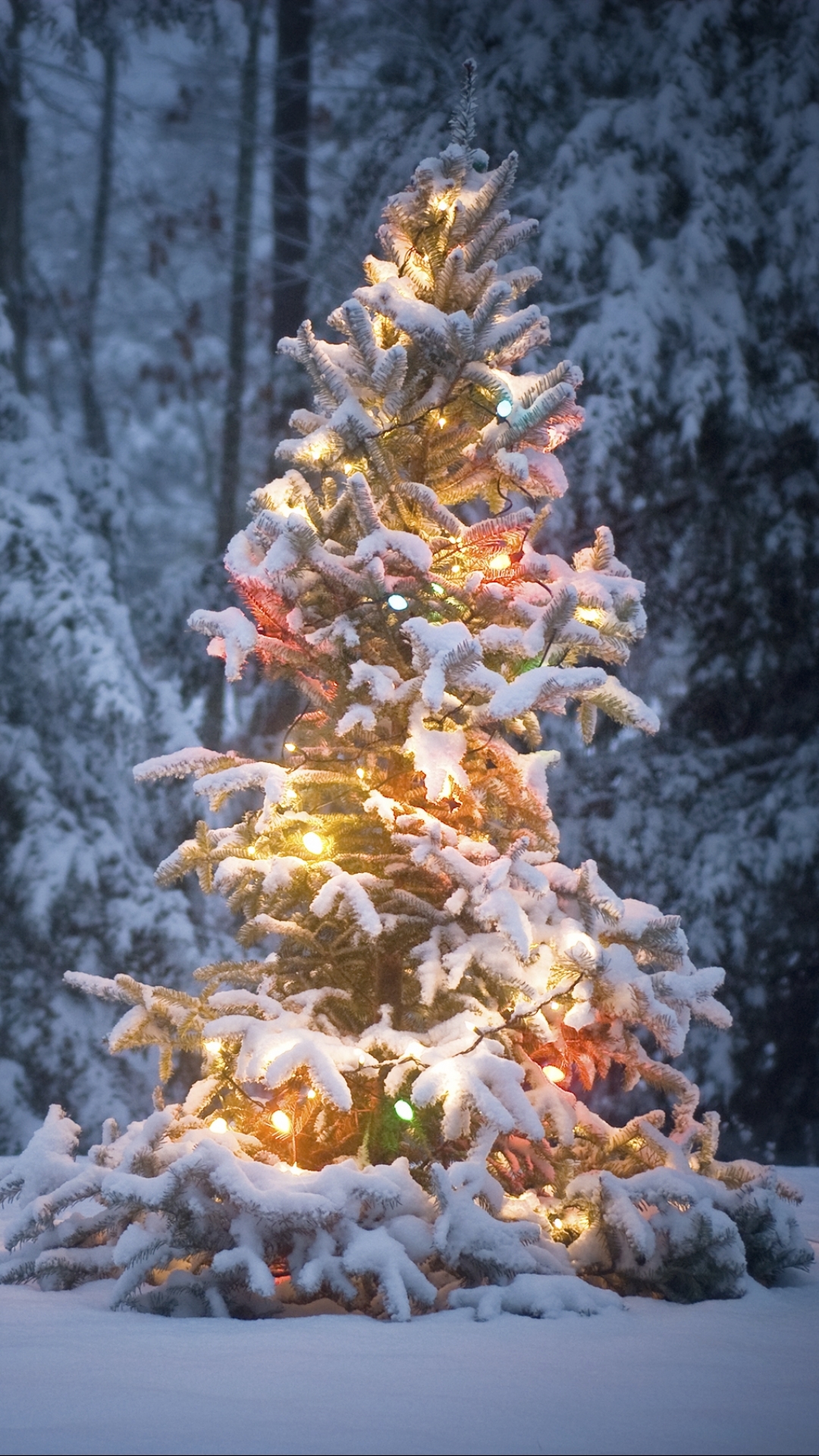 Download mobile wallpaper Winter, Snow, Christmas, Holiday, Christmas Tree, Christmas Lights for free.