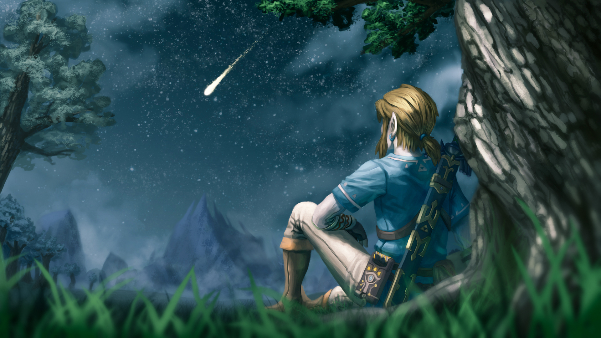 Free download wallpaper Link, Video Game, The Legend Of Zelda, Zelda, The Legend Of Zelda: Breath Of The Wild on your PC desktop