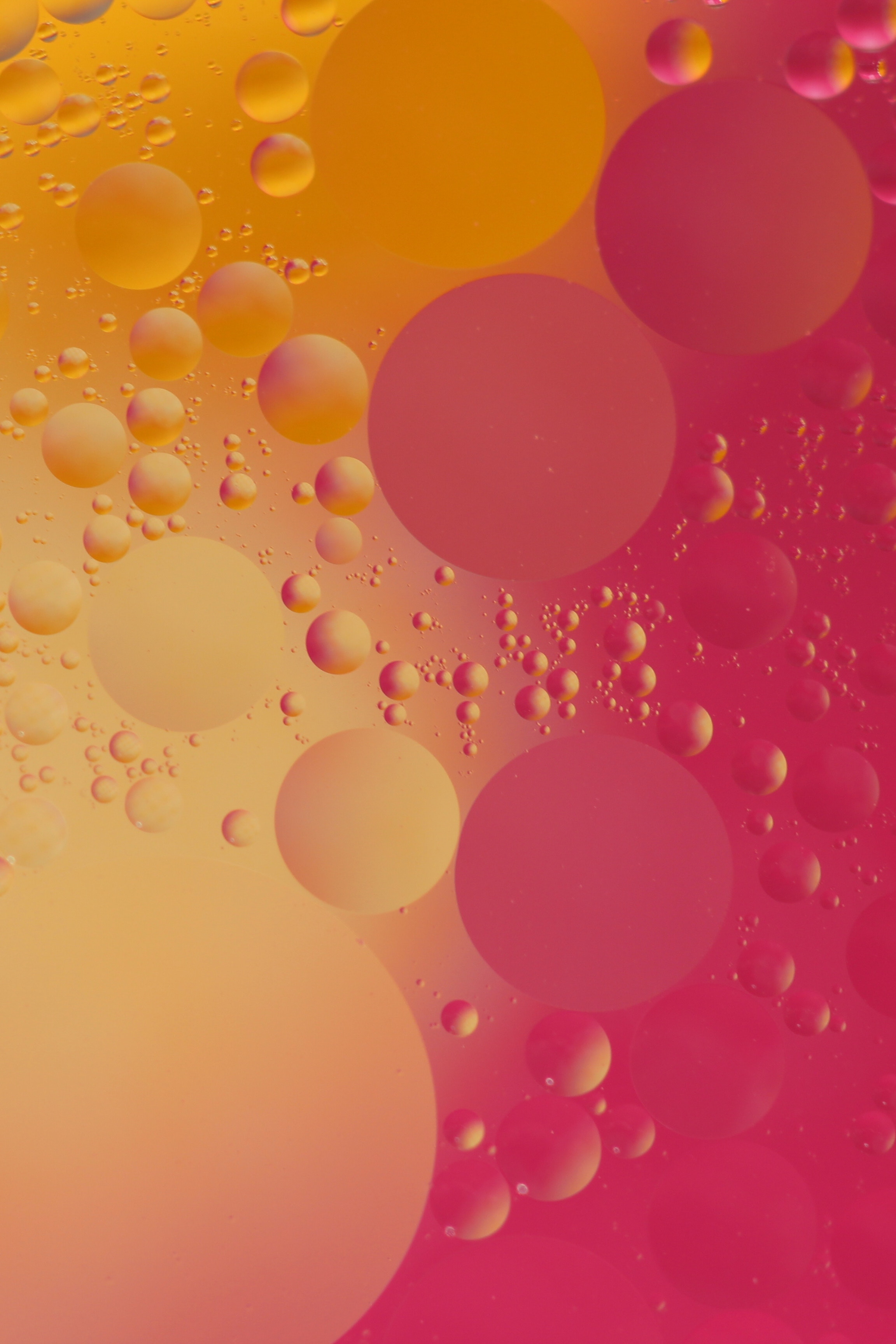 Скачать обои бесплатно Пузыри, Красный, Желтый, Круги, Абстракция, Розовый, Форма картинка на рабочий стол ПК