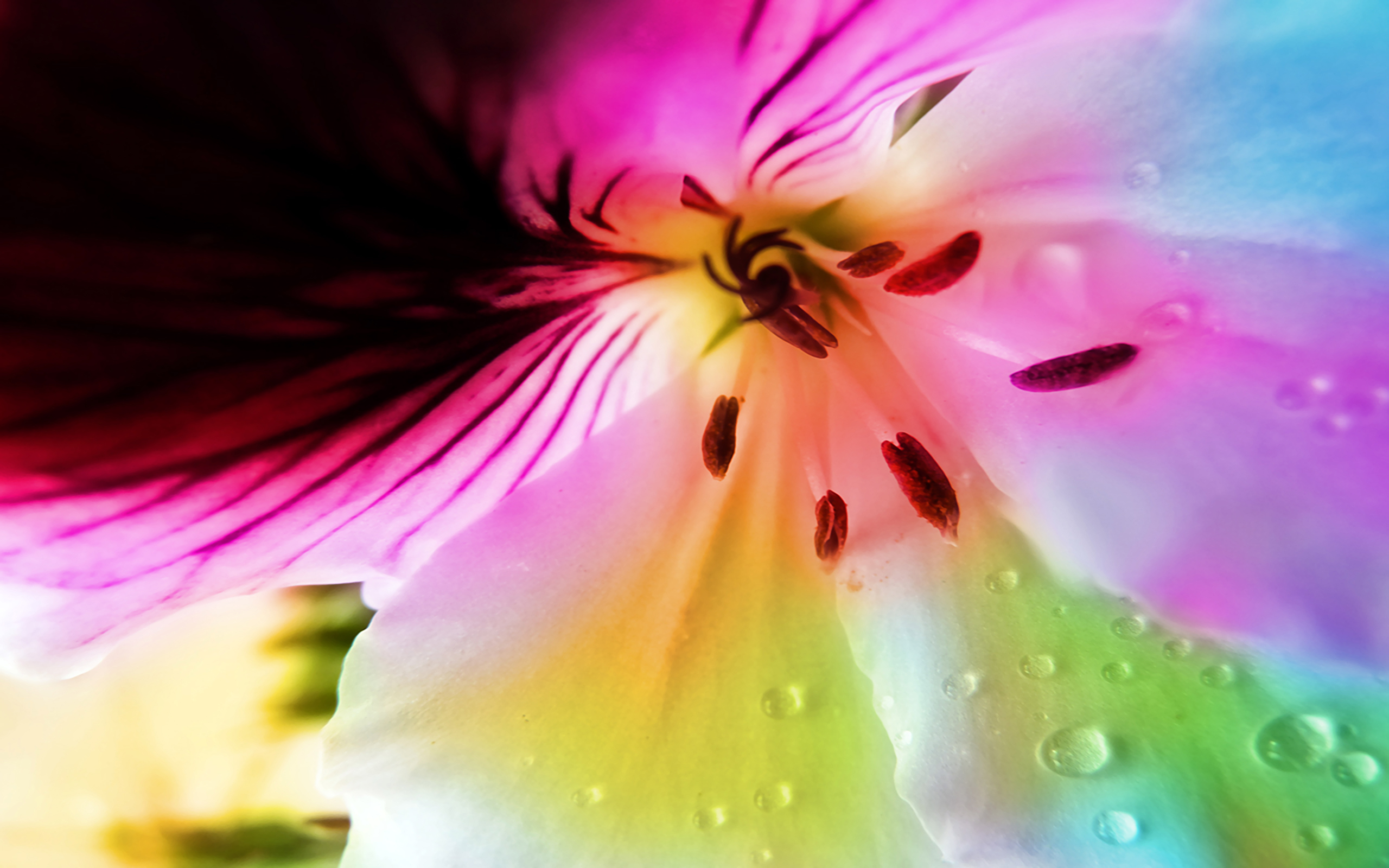 Download mobile wallpaper Pastel, Flowers, Flower, Earth for free.