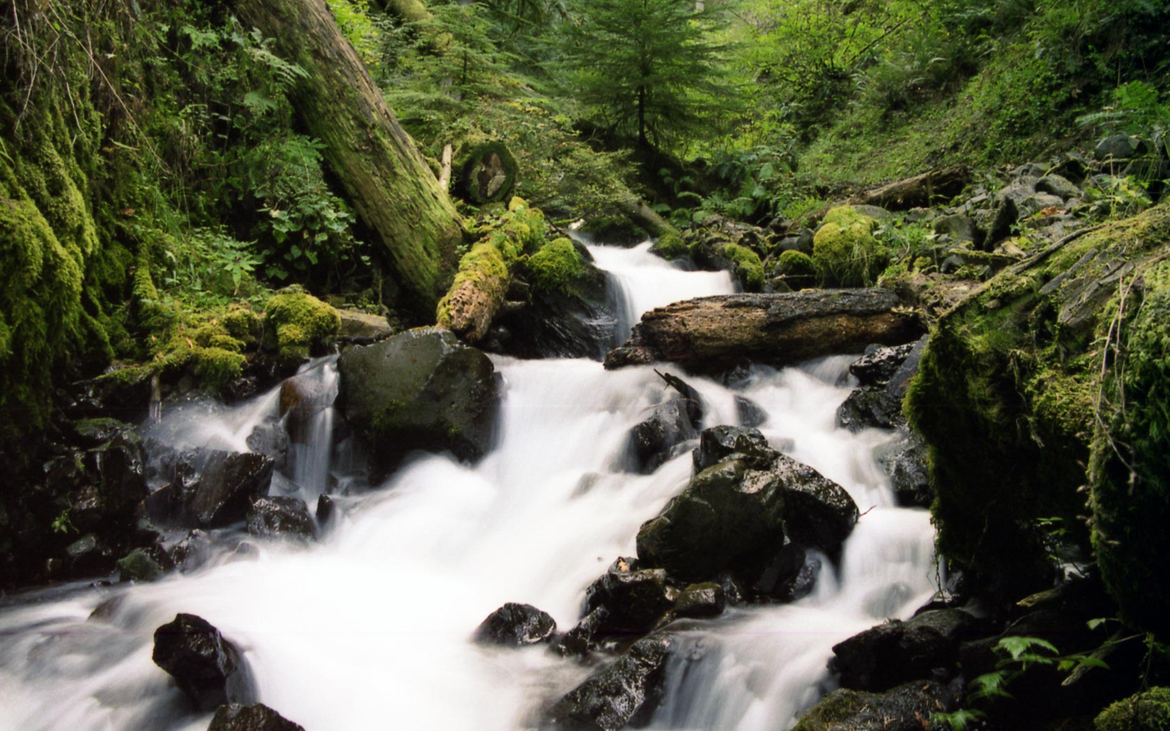 Download background earth, waterfall, moss, stream, waterfalls