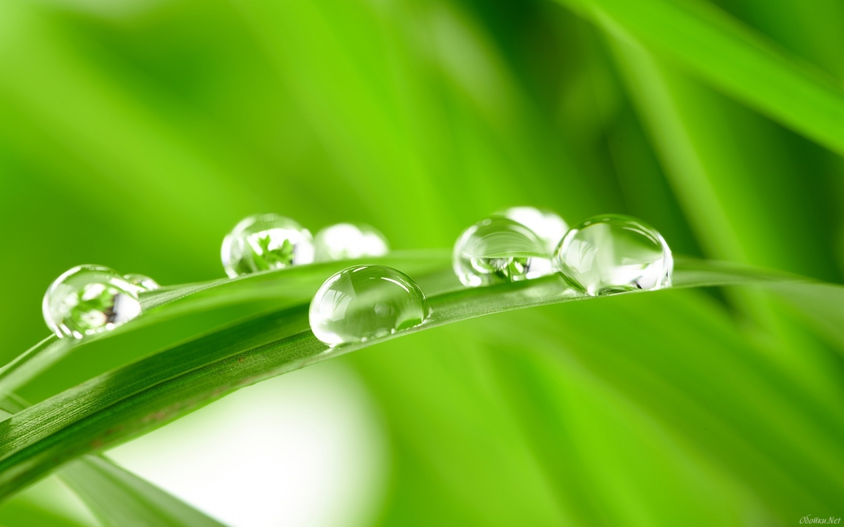 Free download wallpaper Earth, Water Drop on your PC desktop