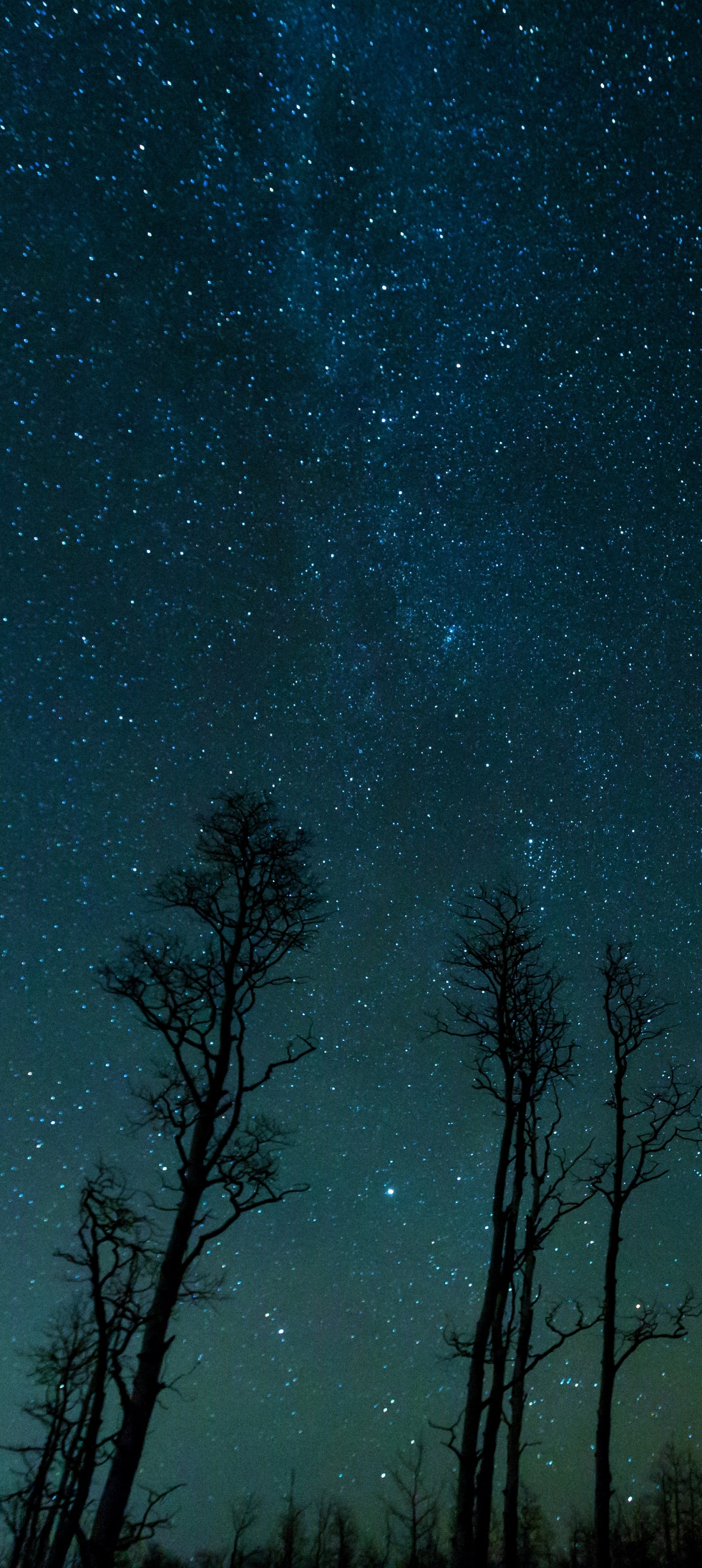 Download mobile wallpaper Night, Starry Sky, Earth for free.