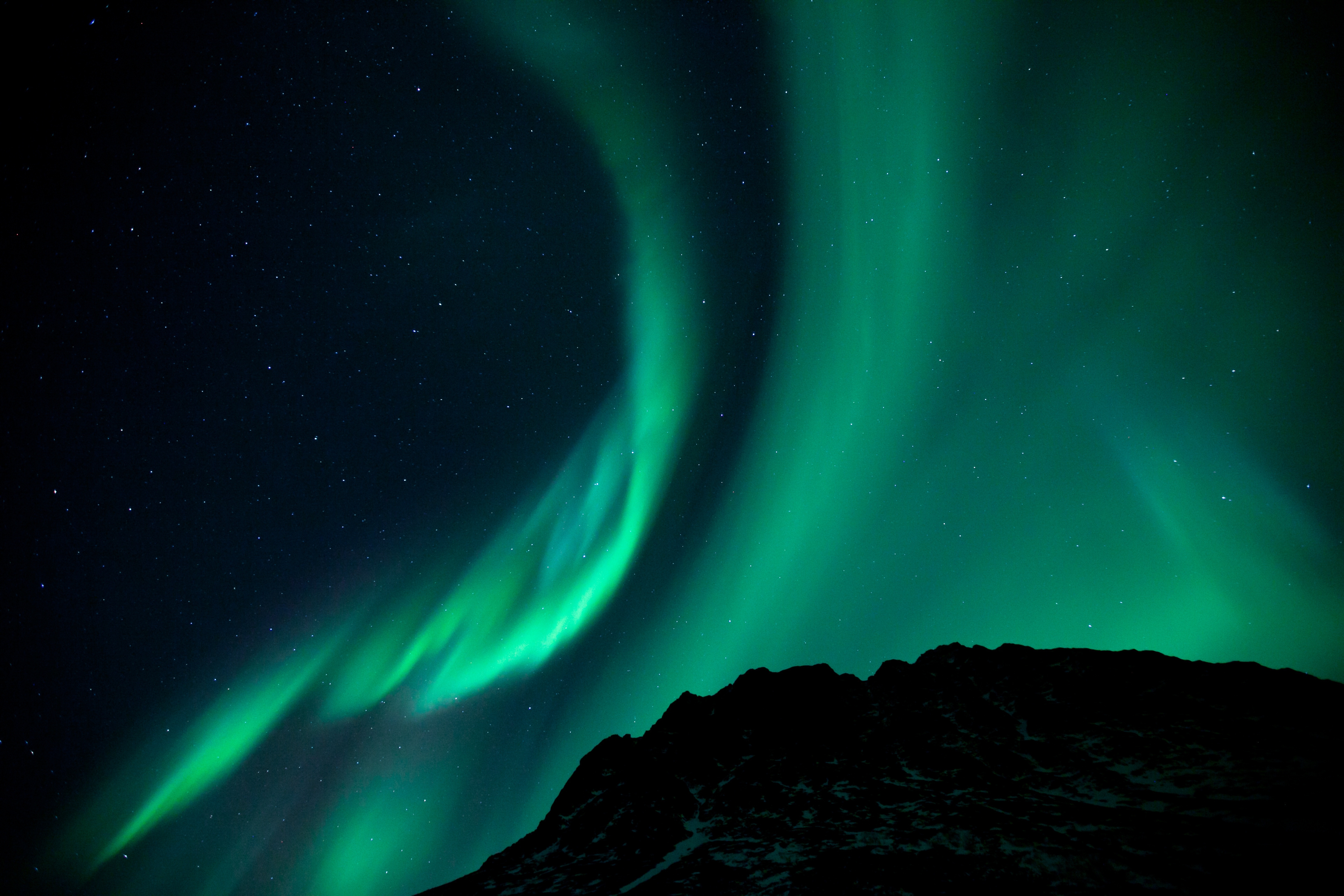 aurora borealis, northern lights, dark, night, starry sky, phenomenon HD wallpaper